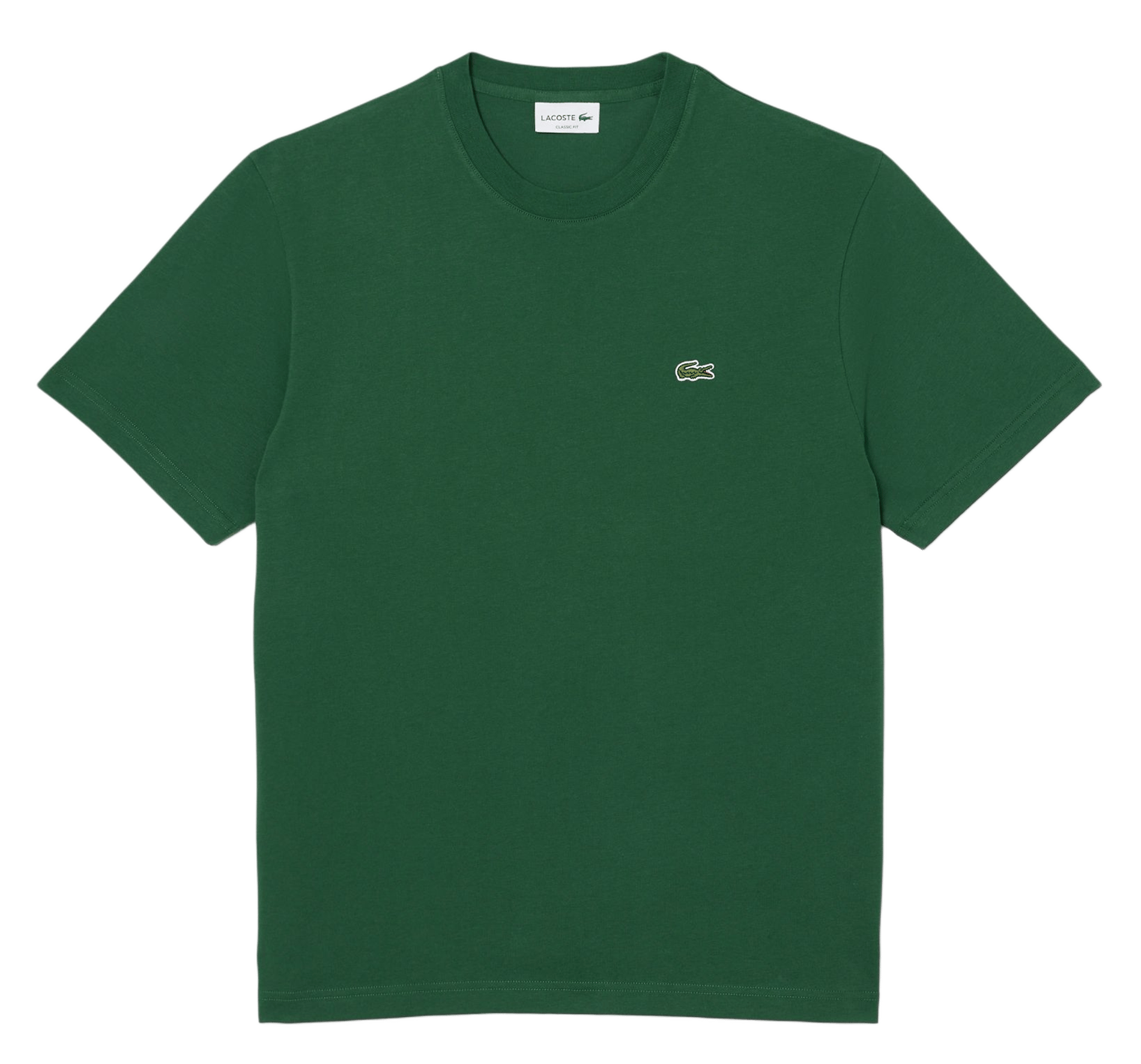 Einfarbiges T-Shirt mit Baumwolllogo LACOSTE Grun