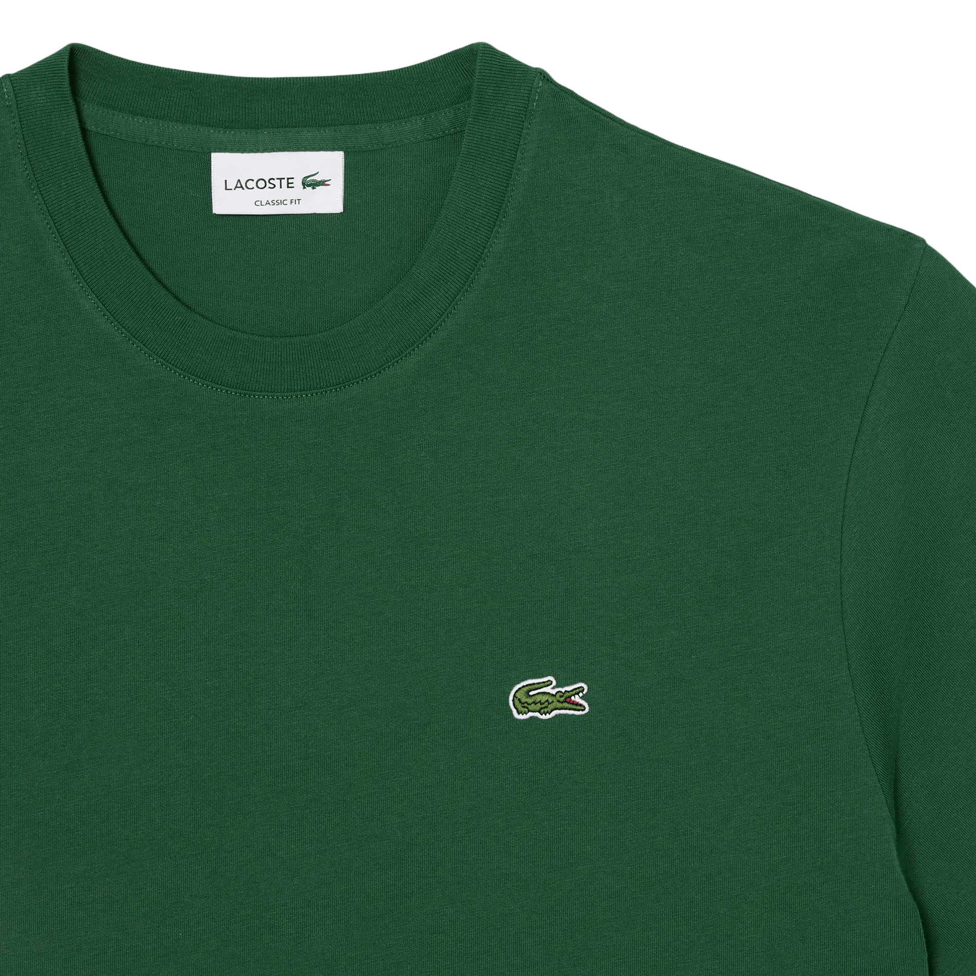 Einfarbiges T-Shirt mit Baumwolllogo LACOSTE Grun