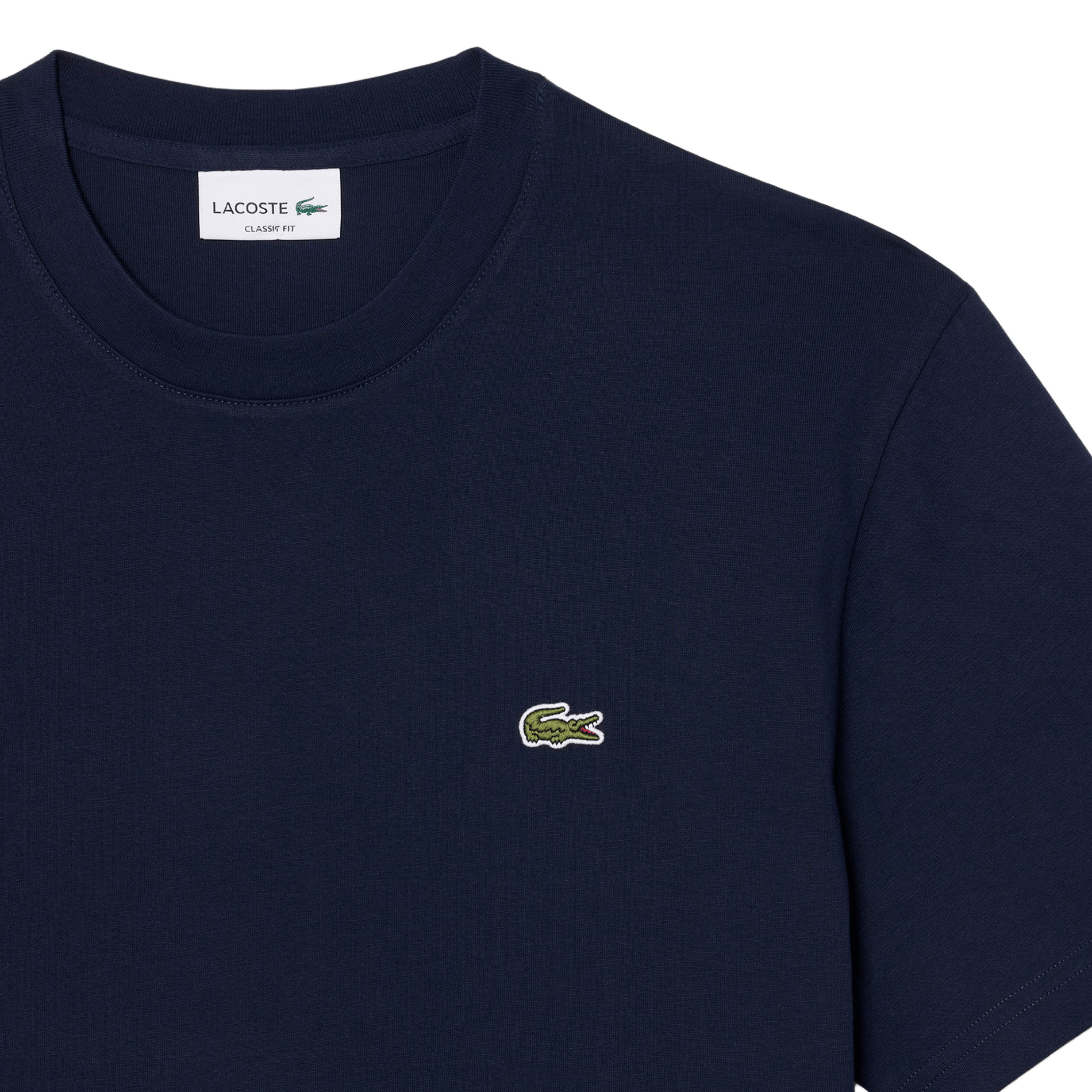 Einfarbiges T-Shirt mit Baumwolllogo LACOSTE Blau