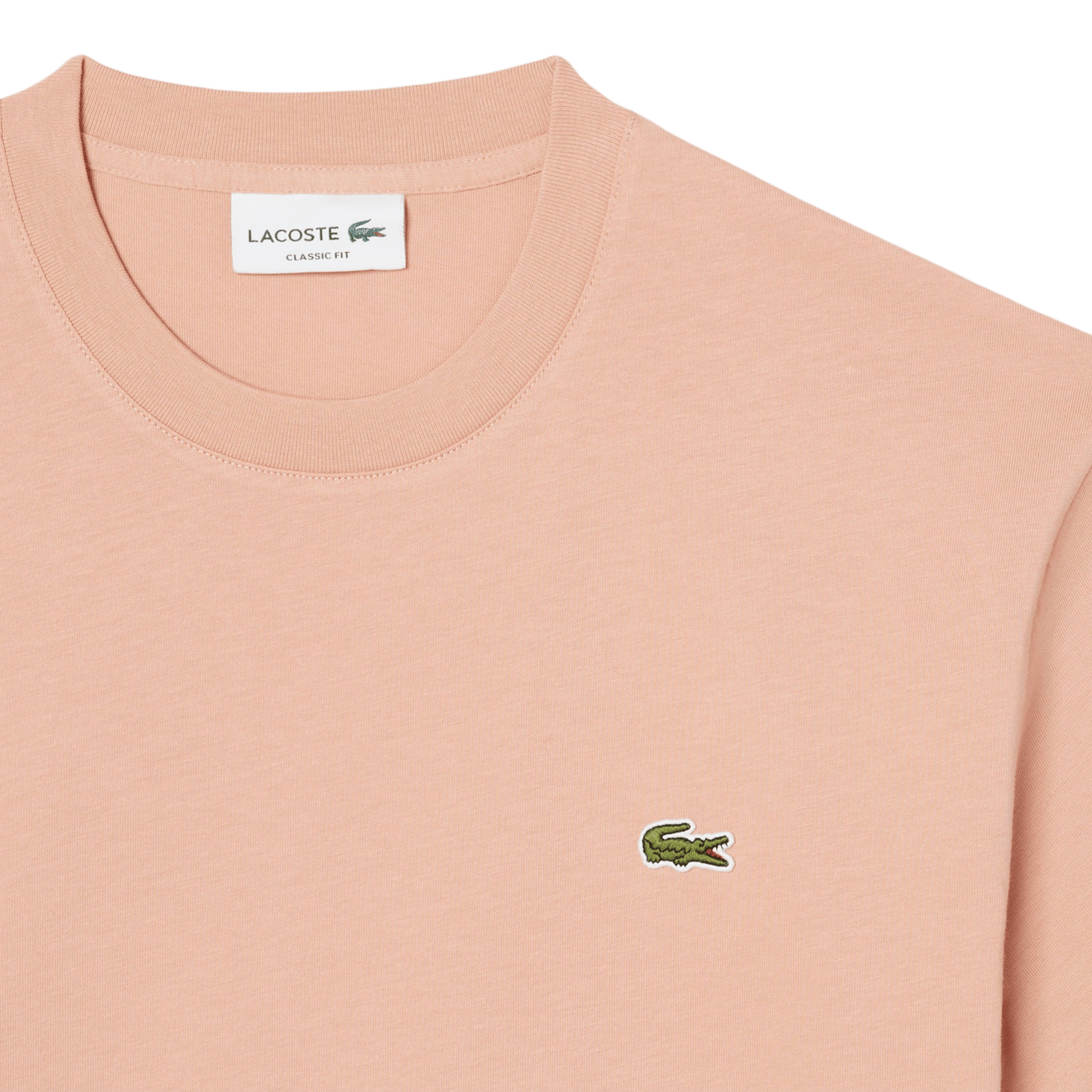 Einfarbiges T-Shirt mit Baumwolllogo LACOSTE Rosa