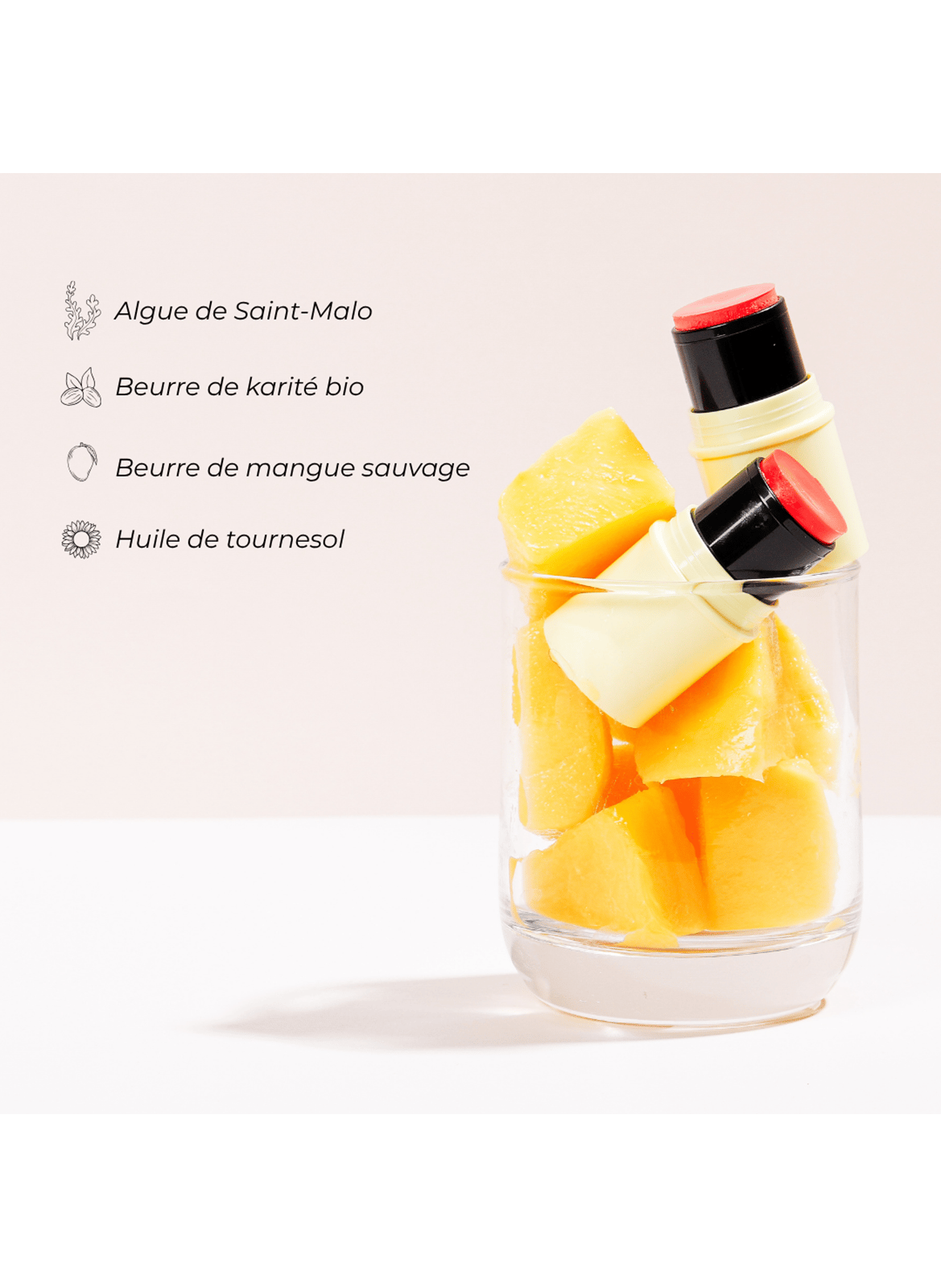 Fantastick Baume&Blush POMPONNE Raisin