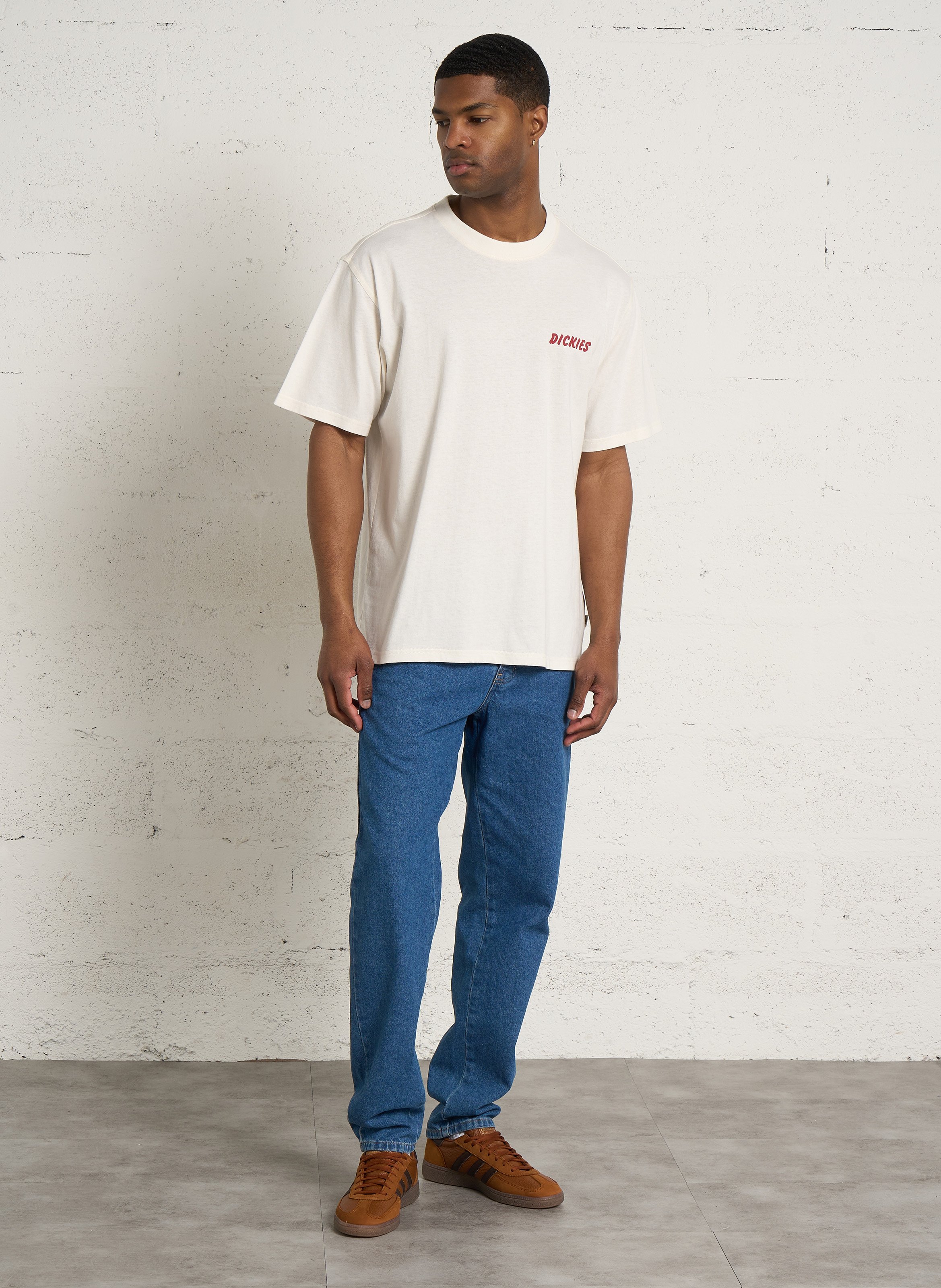 Ruimvallend, katoenen T-shirt met ronde hals en zeefdruk DICKIES Bruin