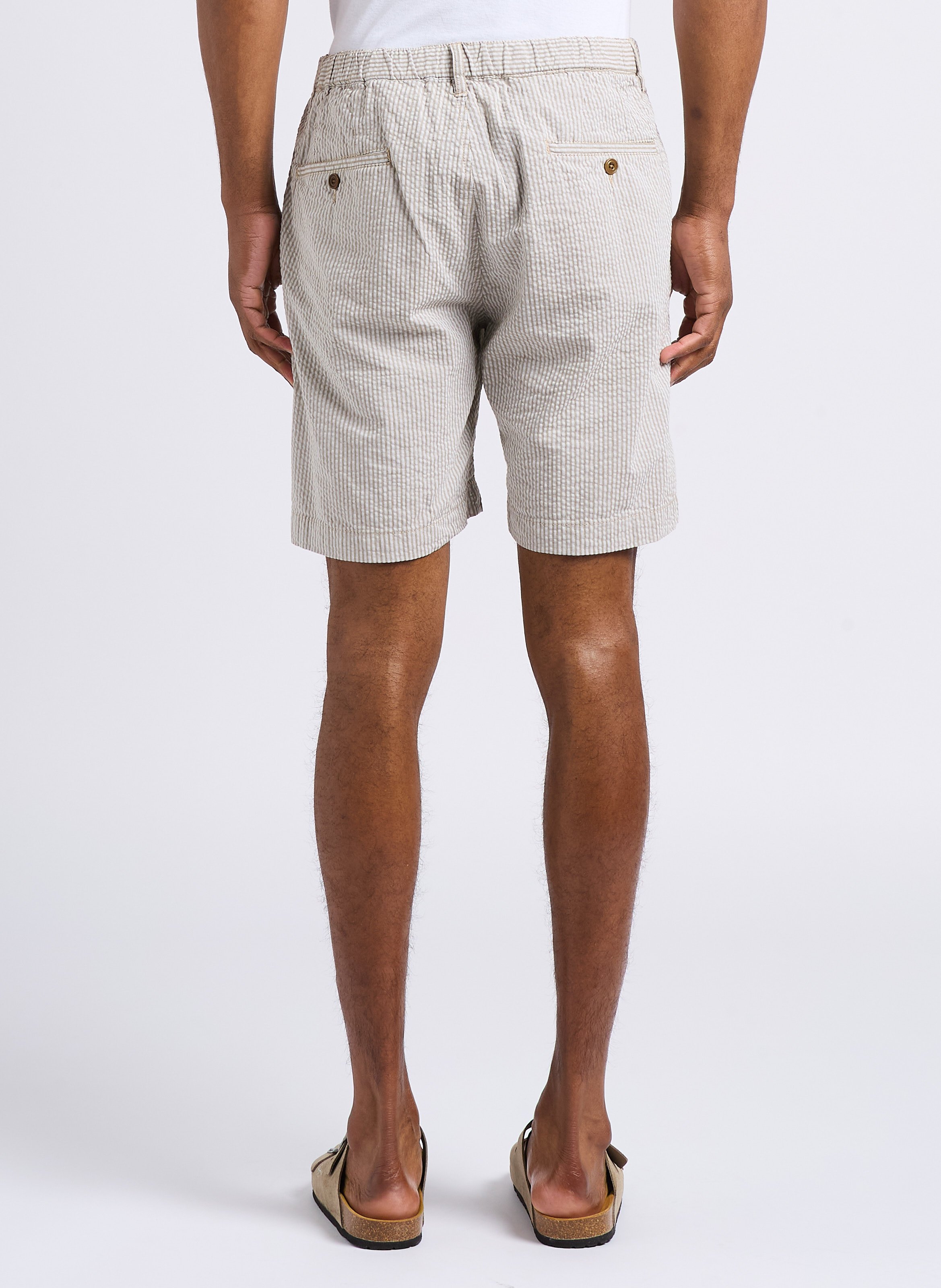 Short droit en coton HARTFORD Vert