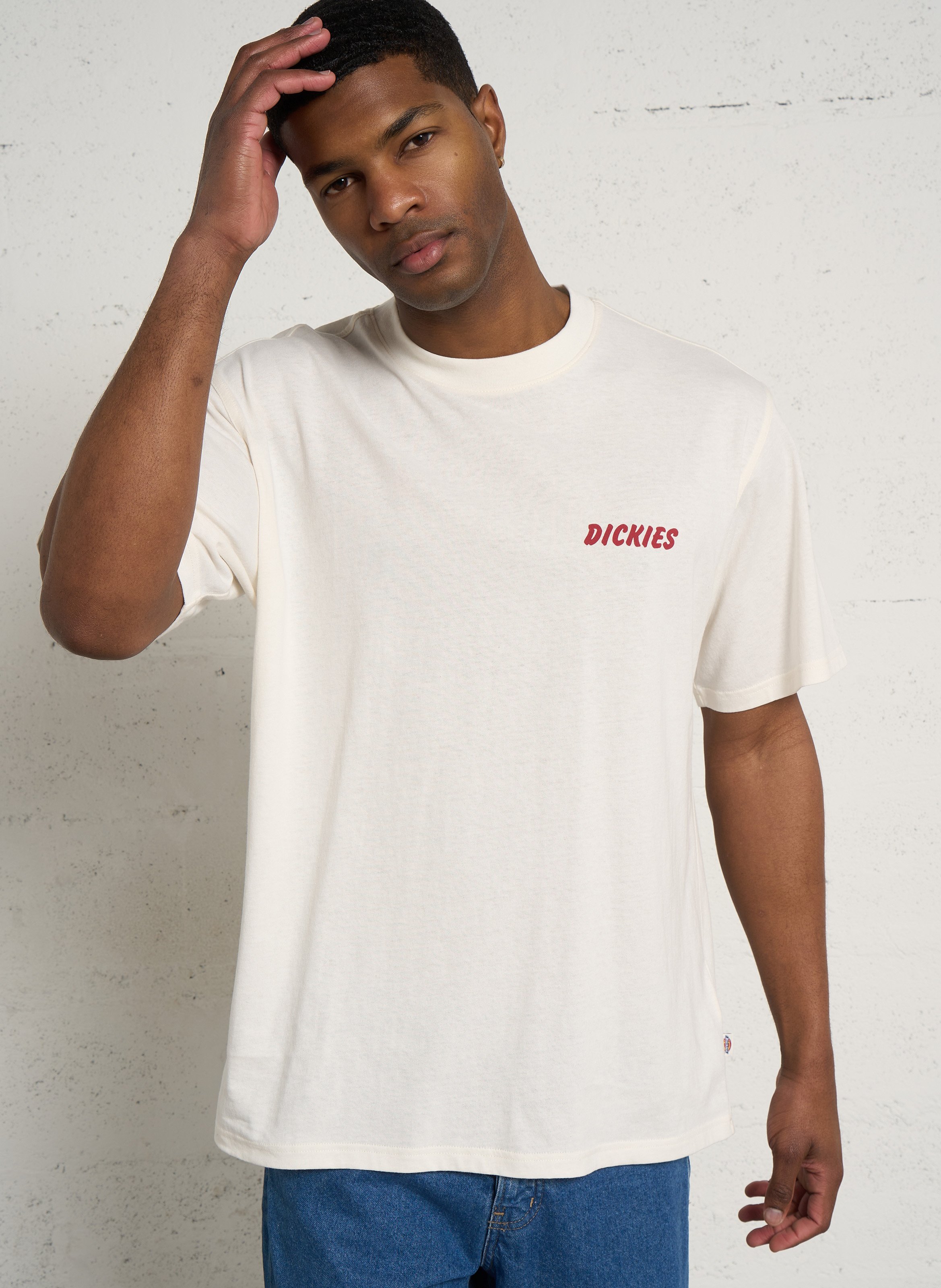 Ruimvallend, katoenen T-shirt met ronde hals en zeefdruk DICKIES Bruin