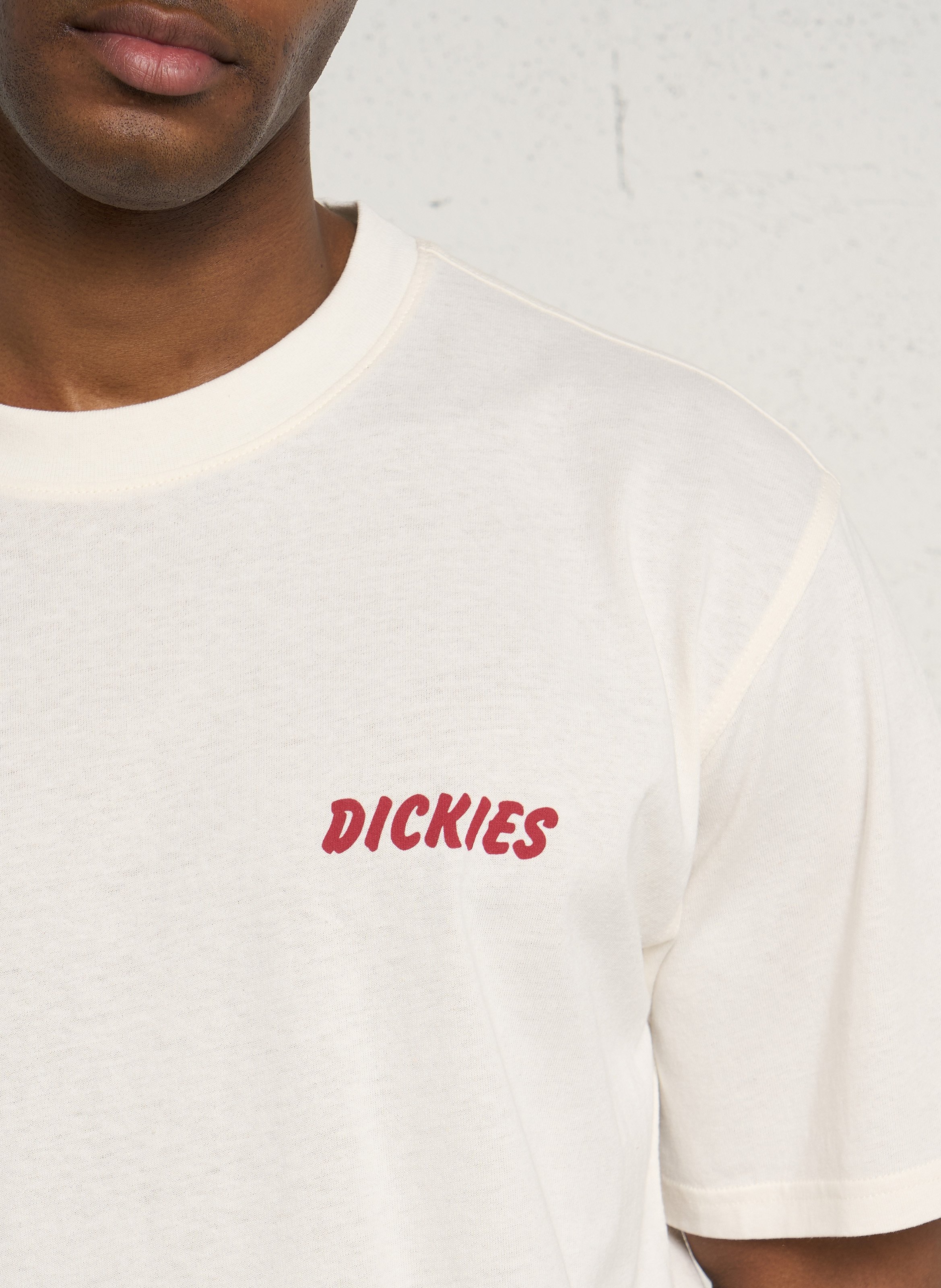 Ruimvallend, katoenen T-shirt met ronde hals en zeefdruk DICKIES Bruin