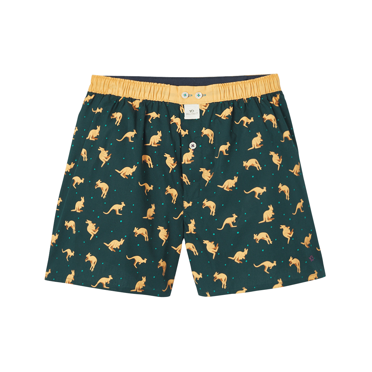 Organic cotton boxer shorts BILLYBELT Green