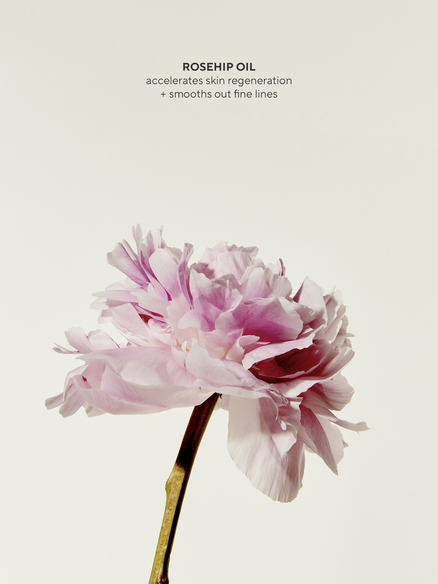 La Crème LES FILLES EN ROUJE No color