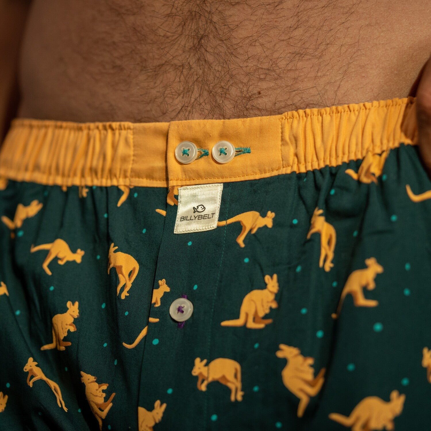 Organic cotton boxer shorts BILLYBELT Green
