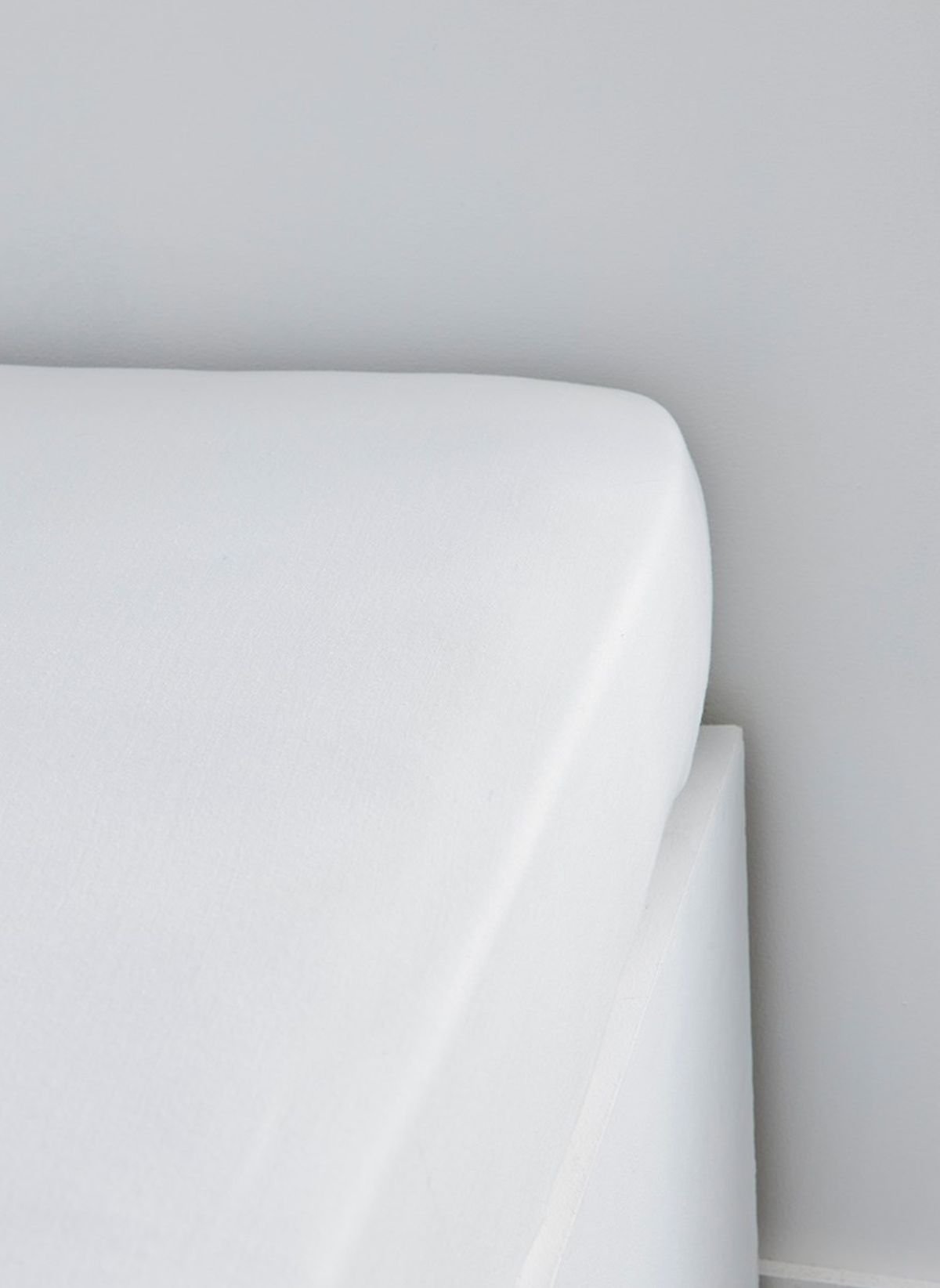 Stretch cotton fitted sheet TODAY LINGE DE MAISON White