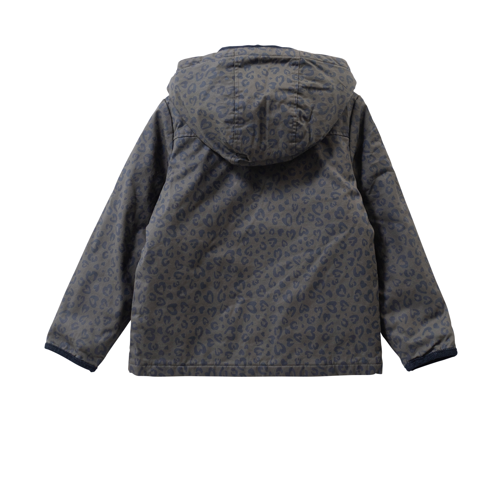 Cotton straight jacket with classic collar IKKS JUNIOR Khaki