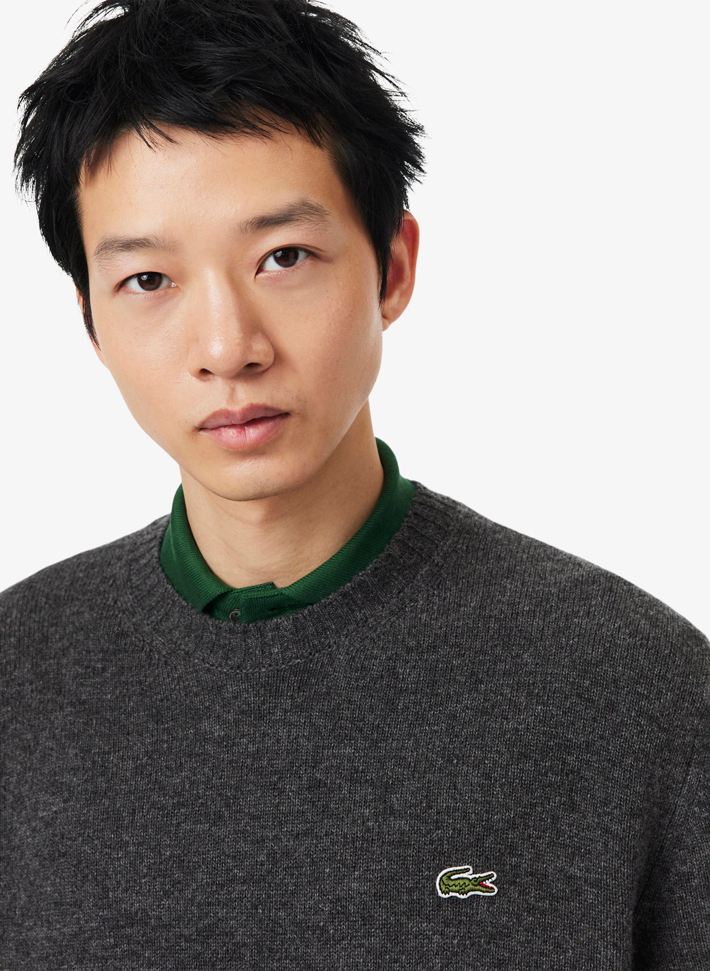Fine wool sweater | Grey LACOSTE Men