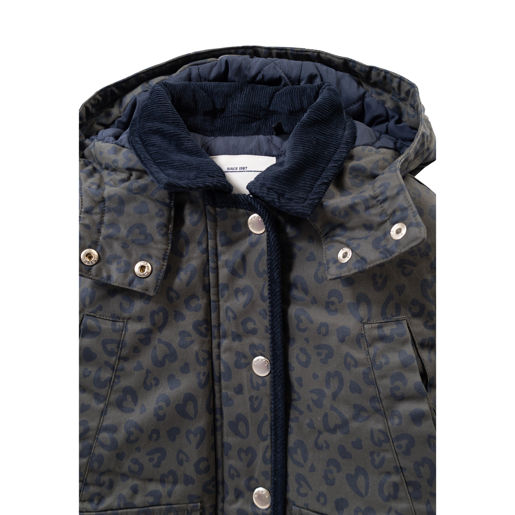 Cotton straight jacket with classic collar IKKS JUNIOR Khaki