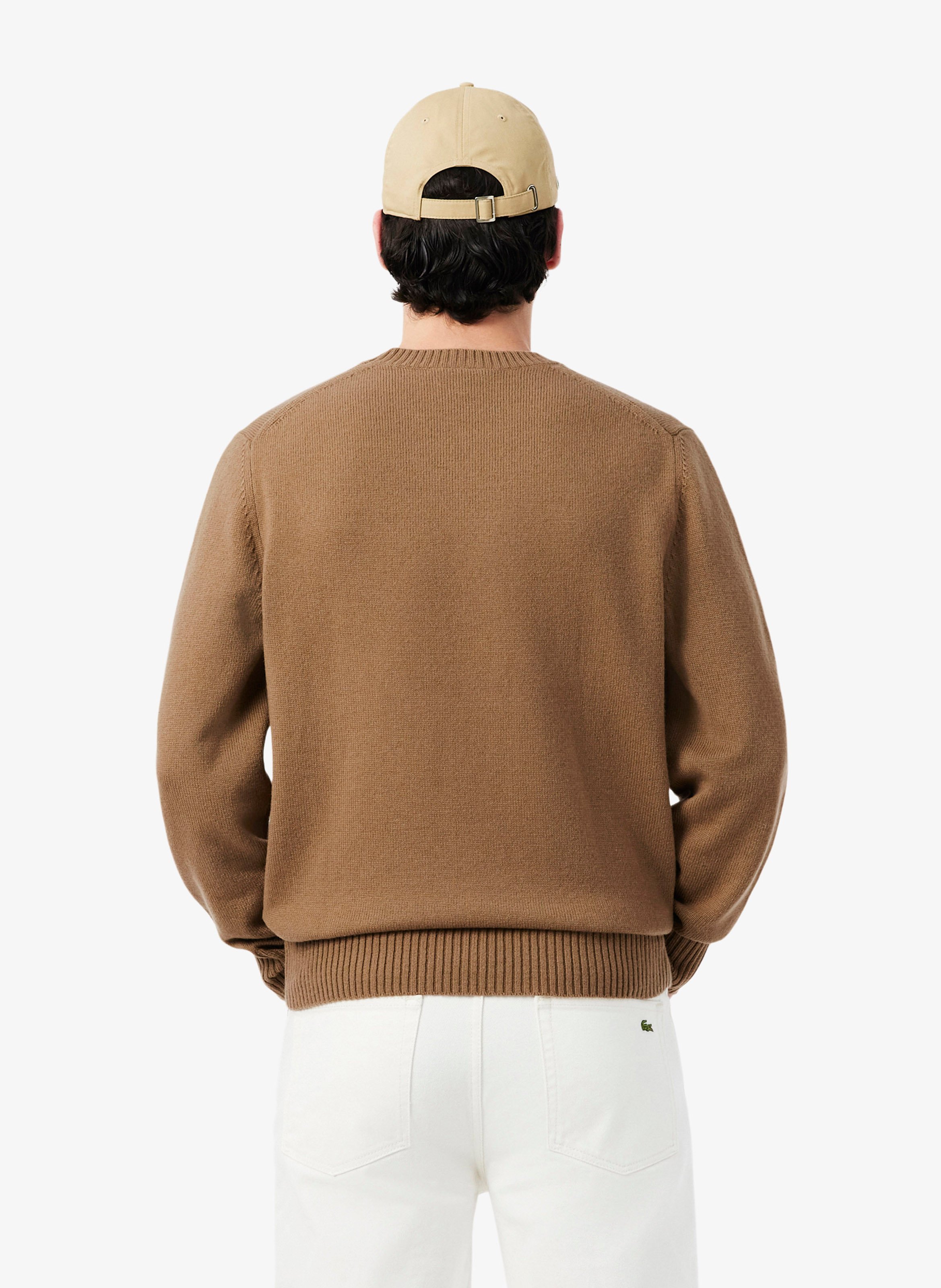 Fine wool sweater LACOSTE Brown