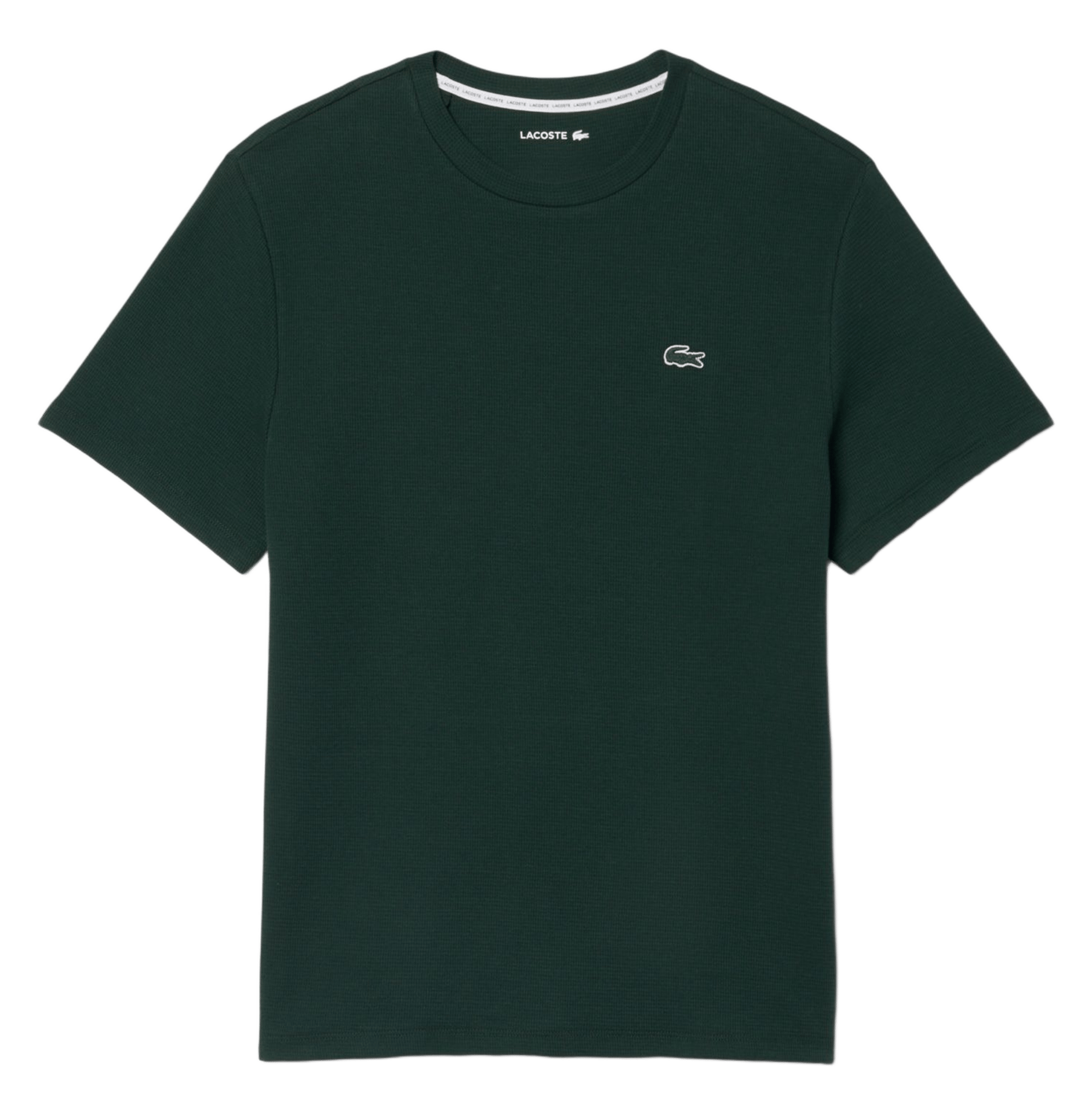 Embossed cotton t-shirt LACOSTE Green