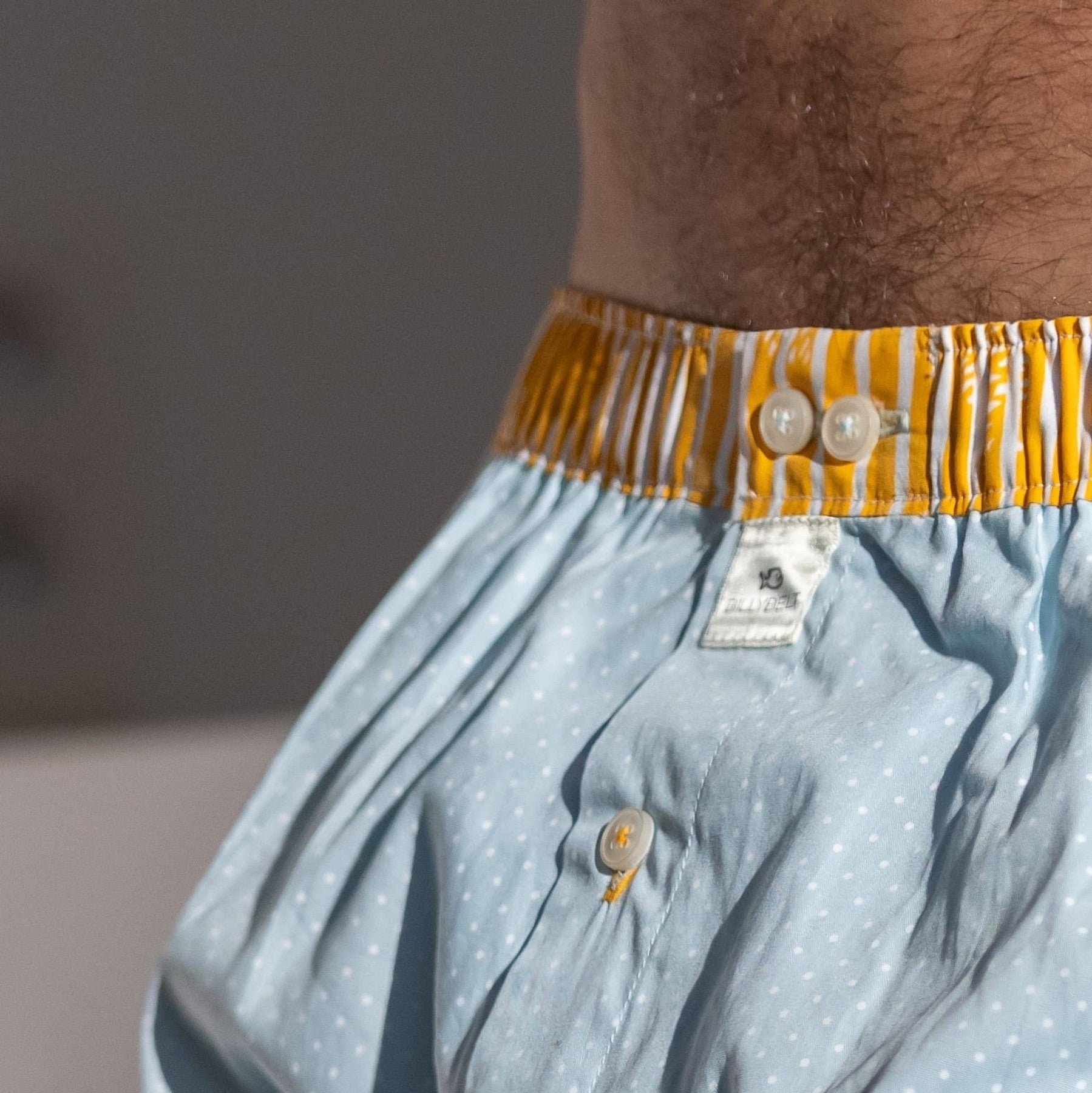 Organic cotton boxer shorts BILLYBELT Blue