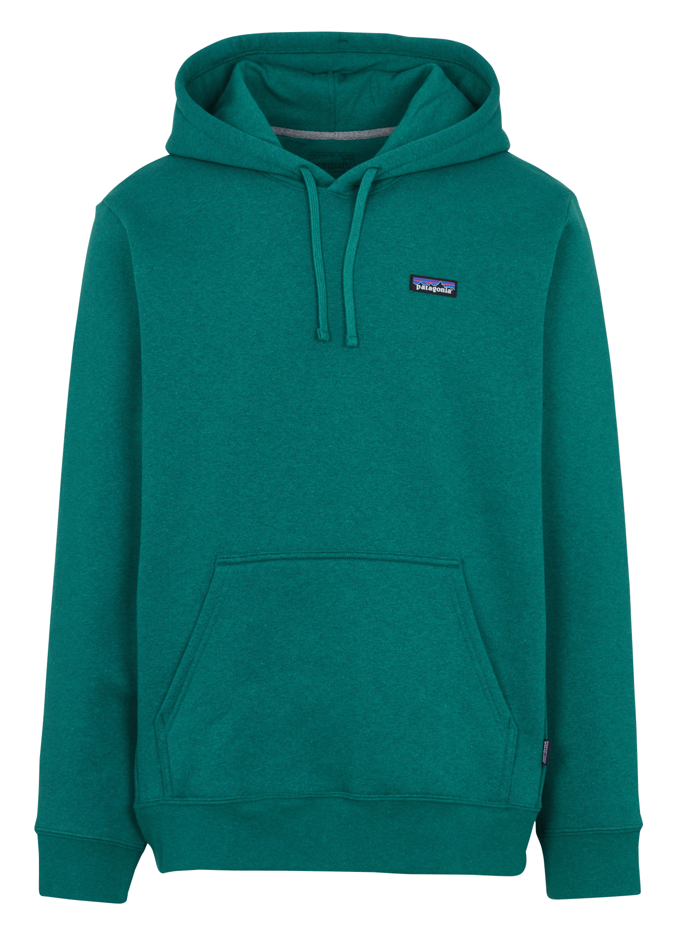Sweat à capuche uni PATAGONIA Vert