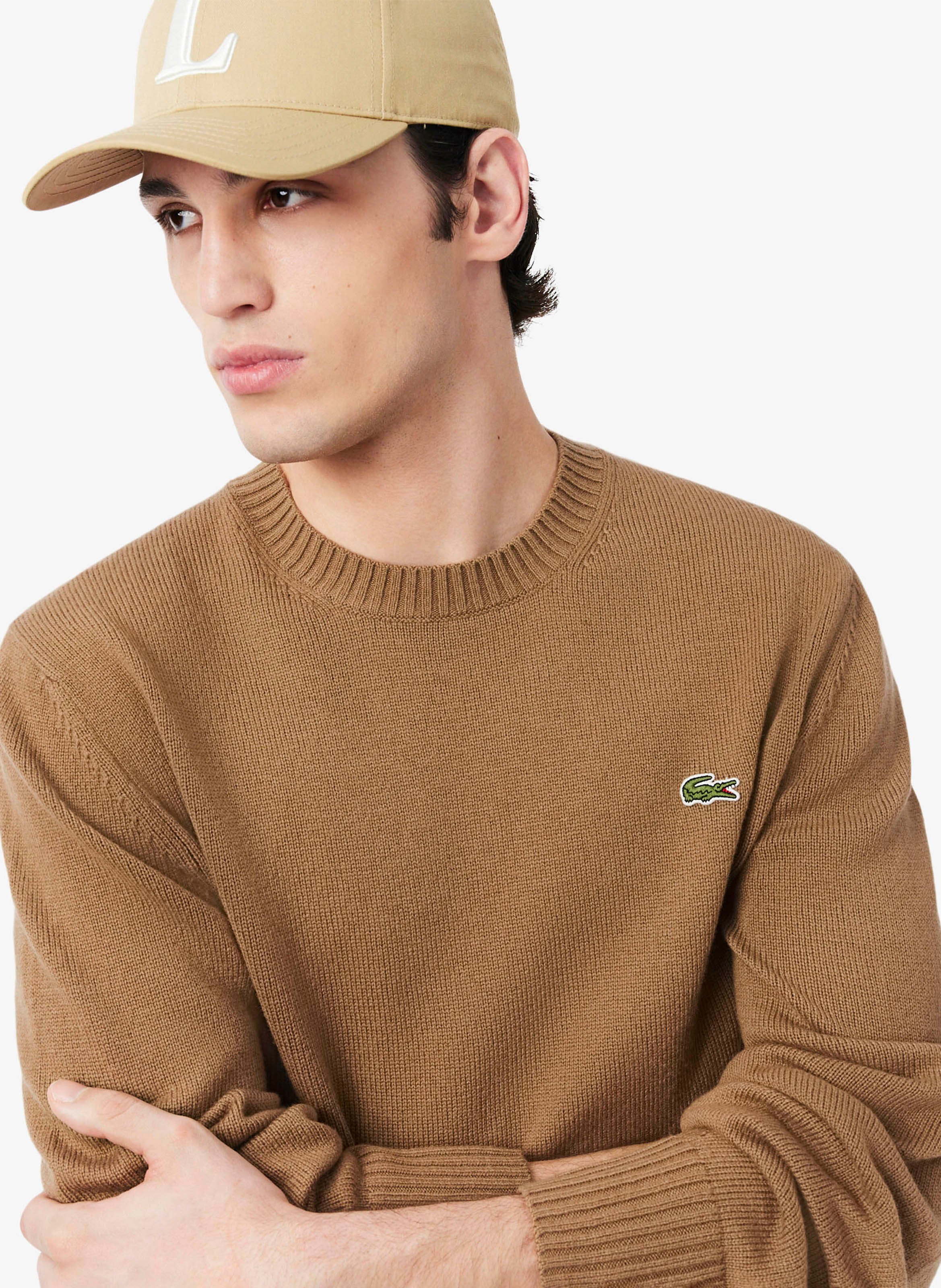 Fine wool sweater LACOSTE Brown