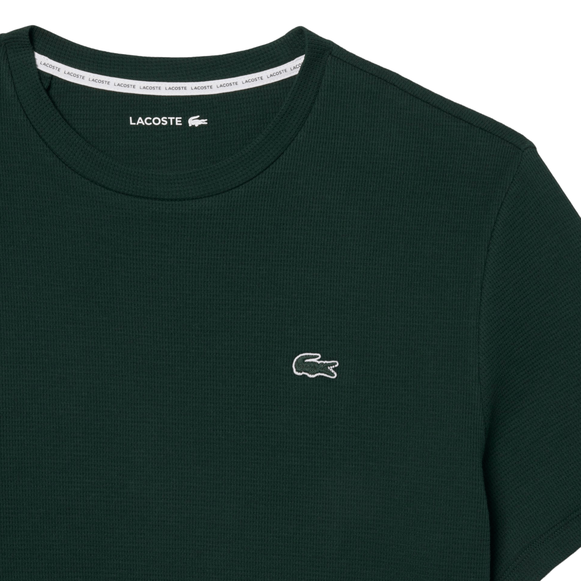 Embossed cotton t-shirt LACOSTE Green