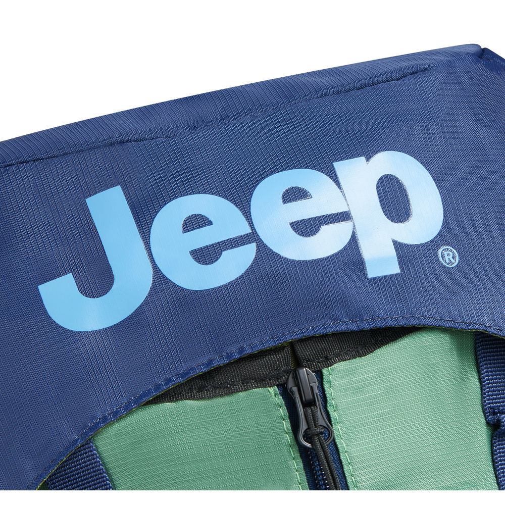 Sac a dos souple DELSEY PARIS Vert