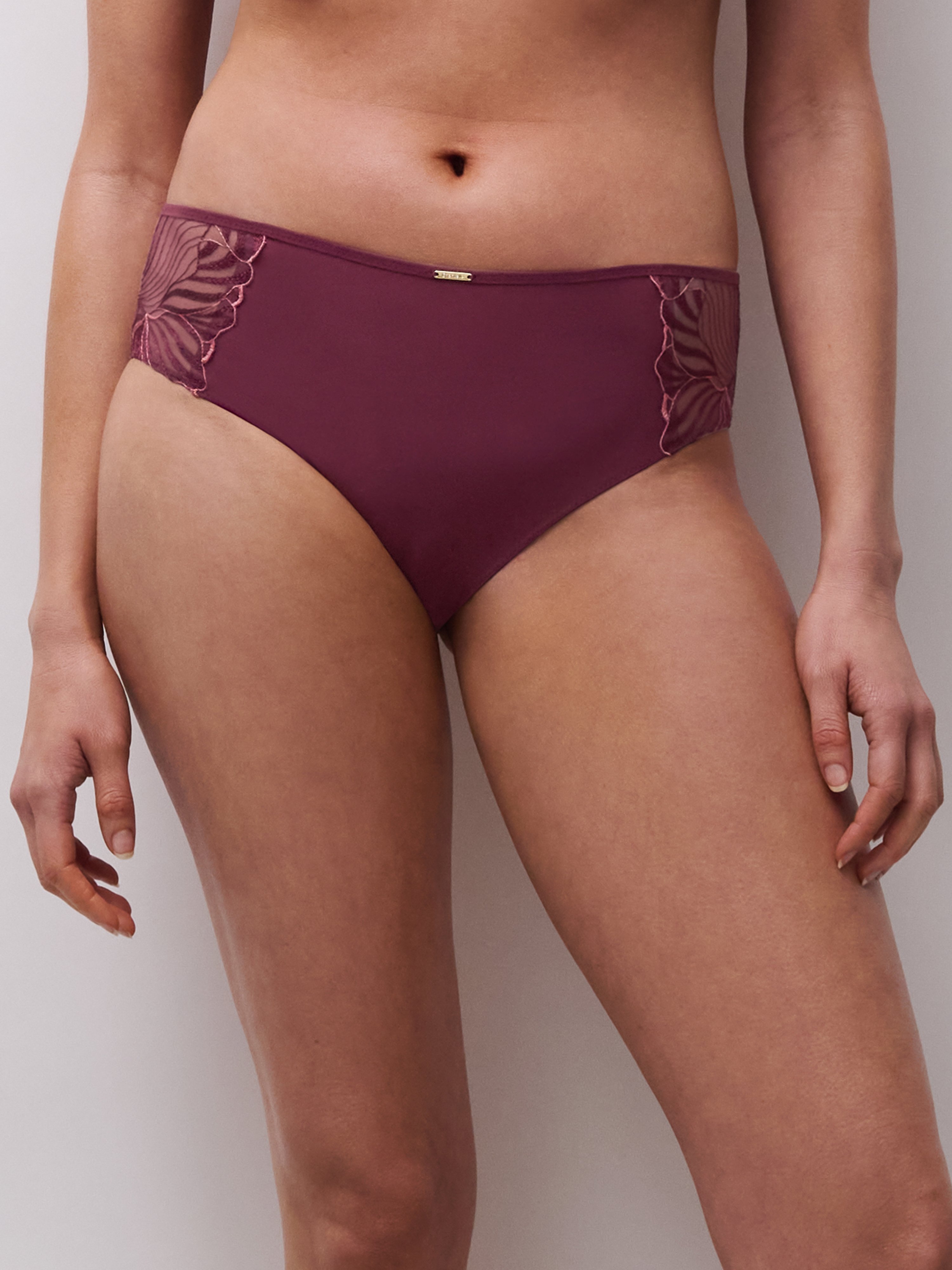 Dark Fold panties CHANTELLE Multicolored