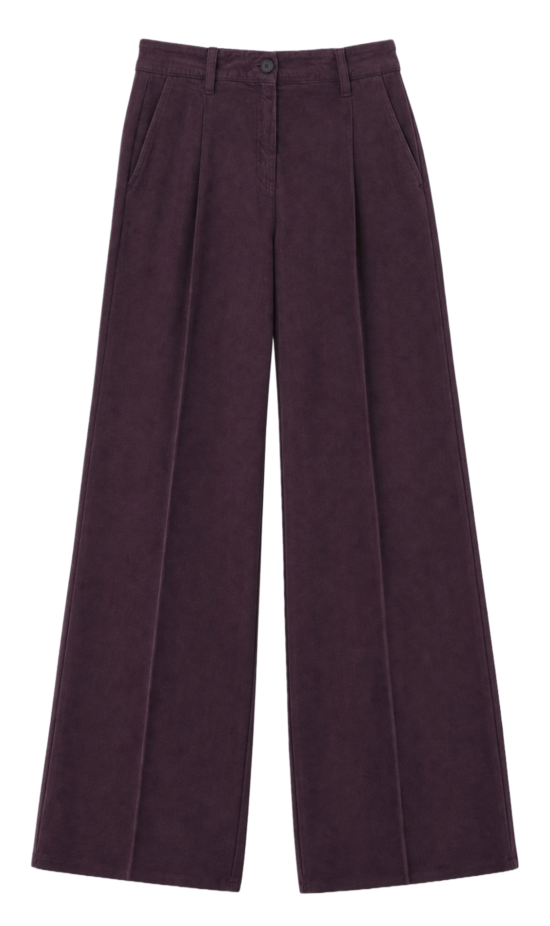 Pantalon large à plis IRO Violet