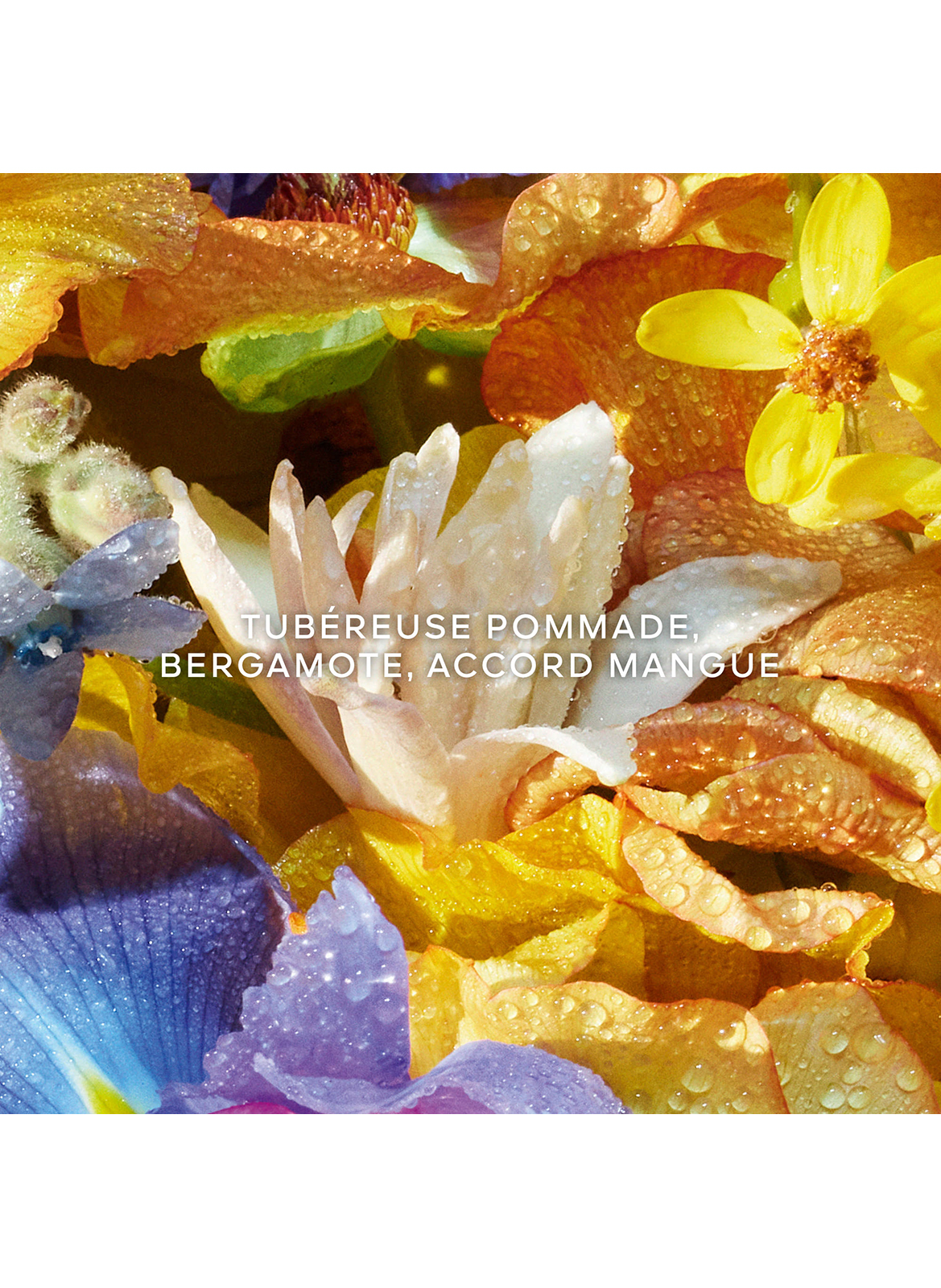 Aqua Allegoria Florabloom Eau de Toilette GUERLAIN No color