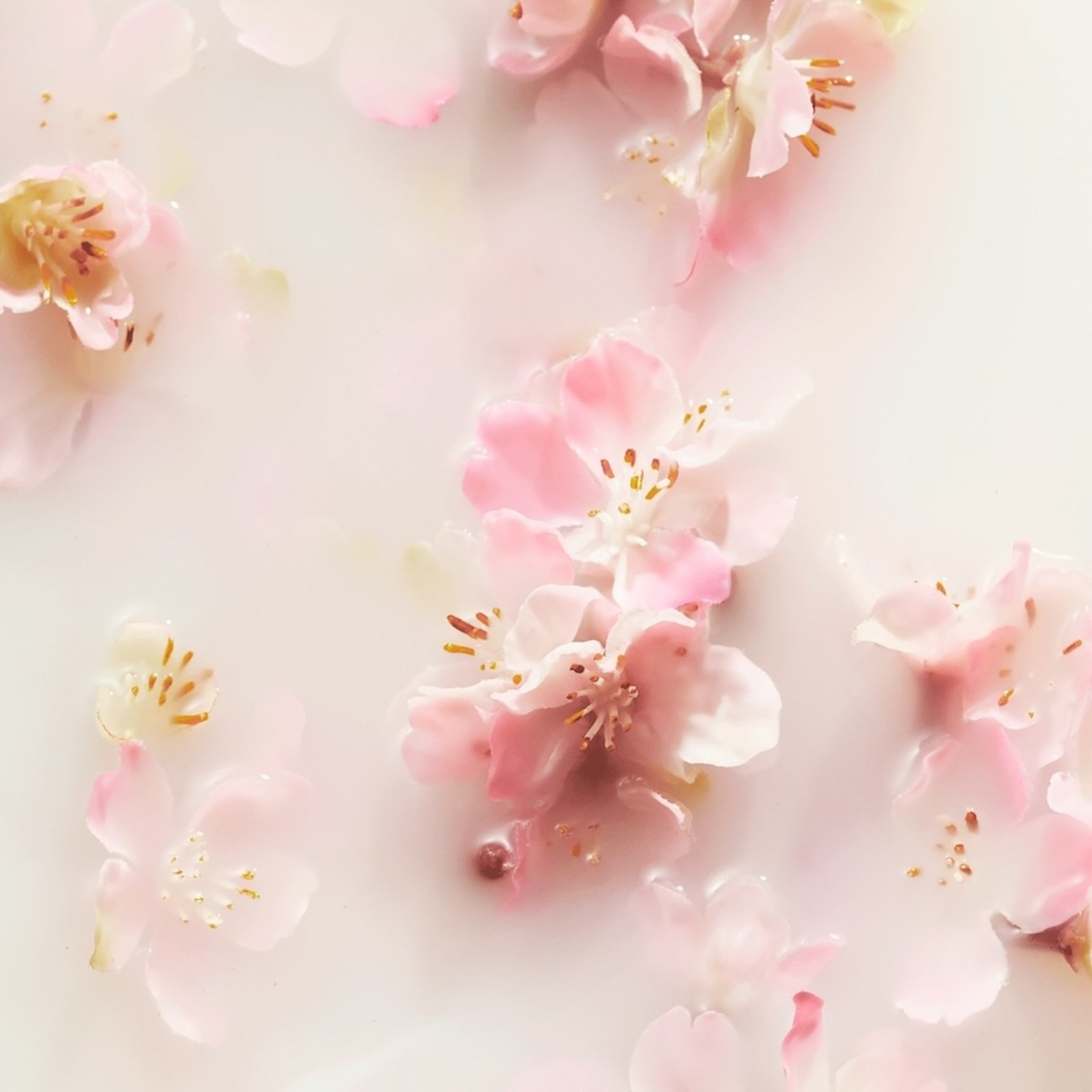 The Ritual of Sakura - Verkwikkende geschenkset - S RITUALS No color