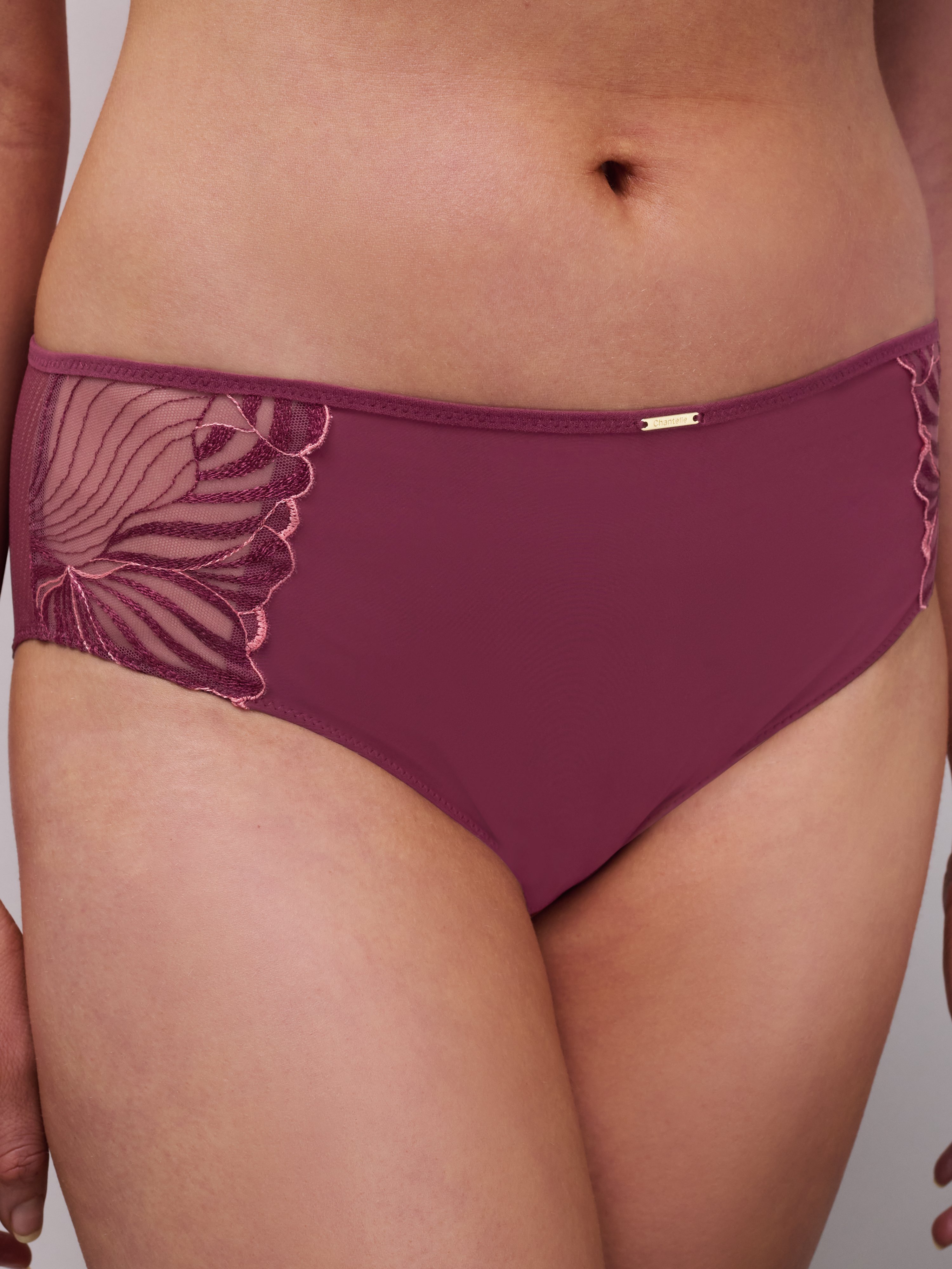 Dark Fold panties CHANTELLE Multicolored