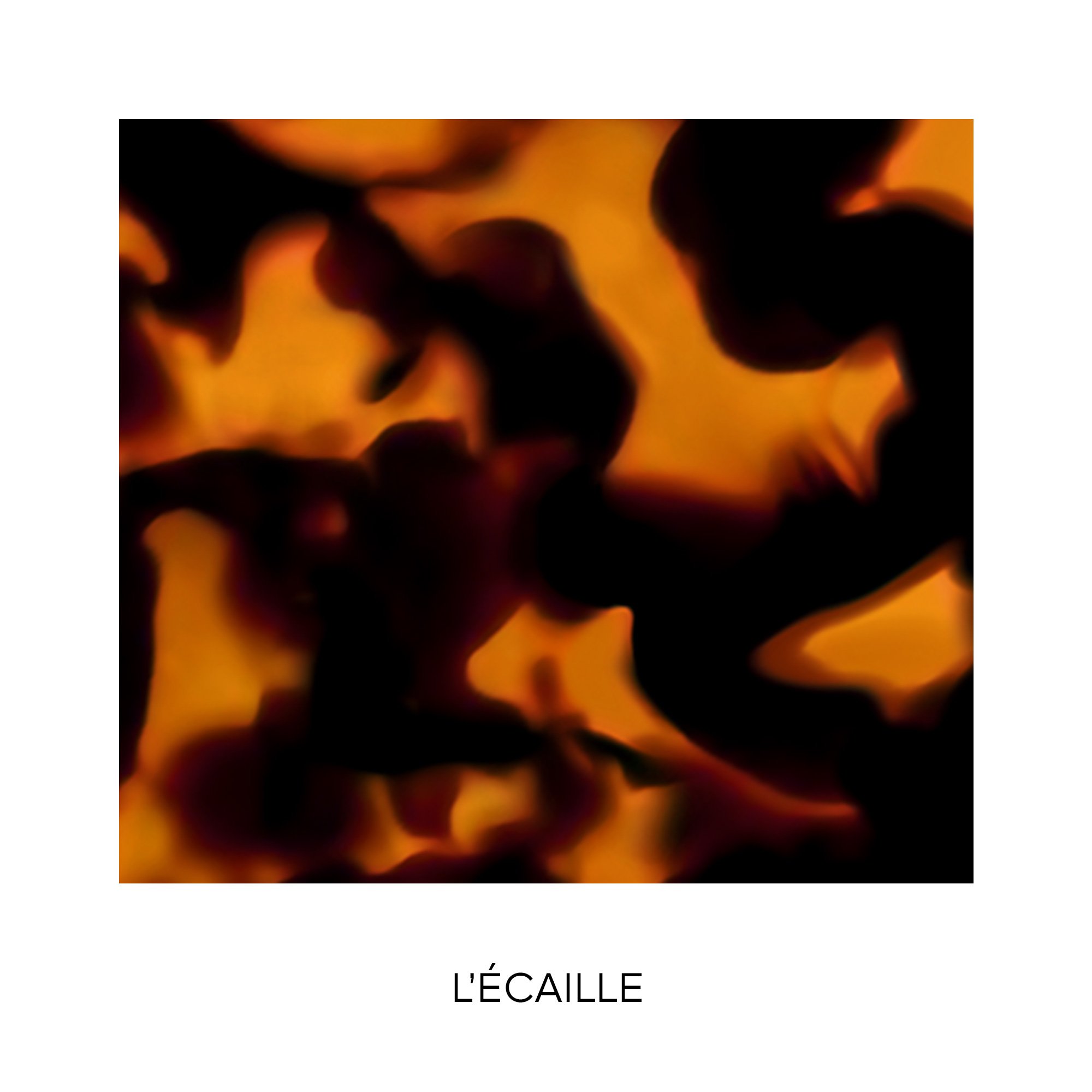 ROUGE G The double mirror jewel case Customizable lipstick care GUERLAIN L'Écaille