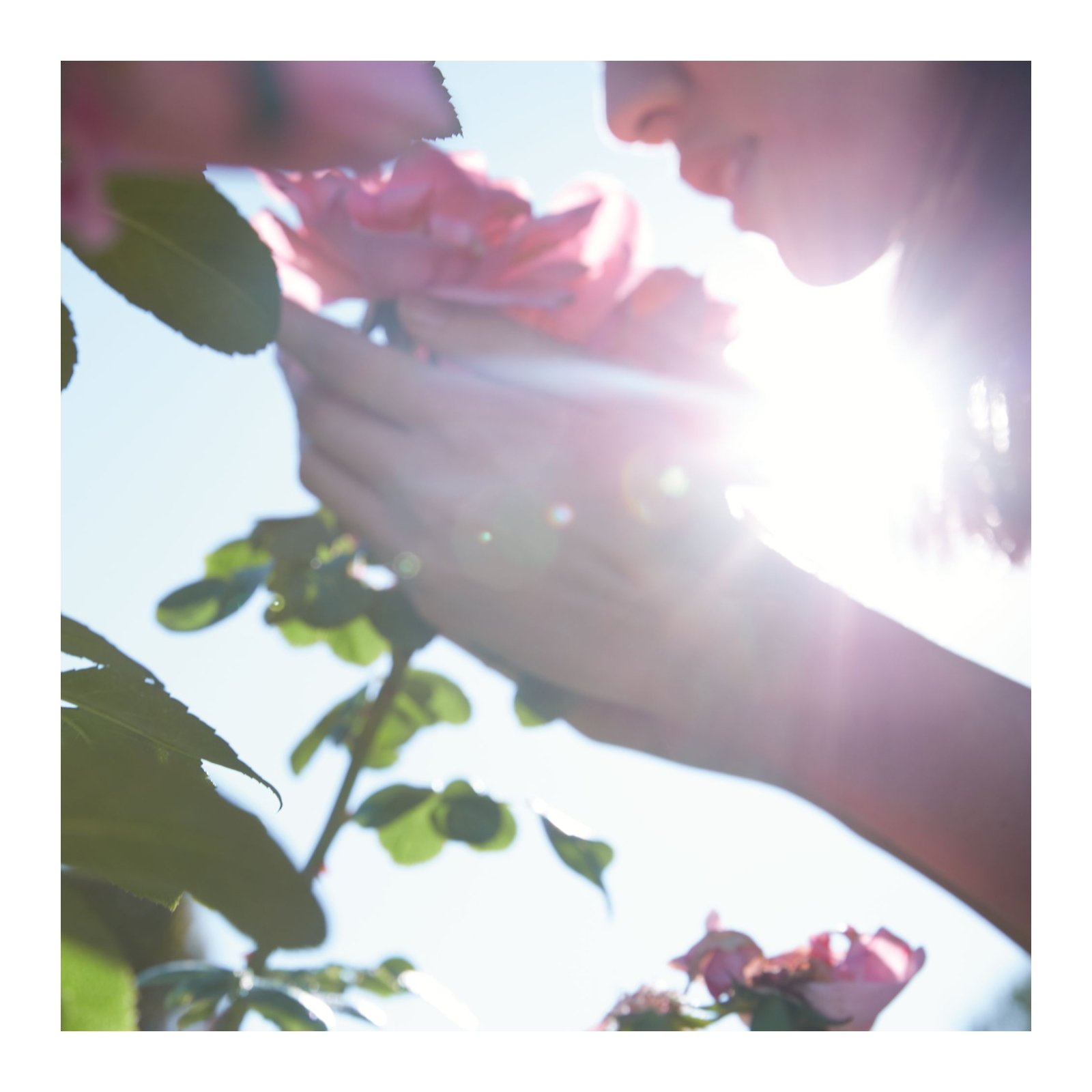 REPLICA SPRINGTIME IN A PARK - EAU DE TOILETTE No color