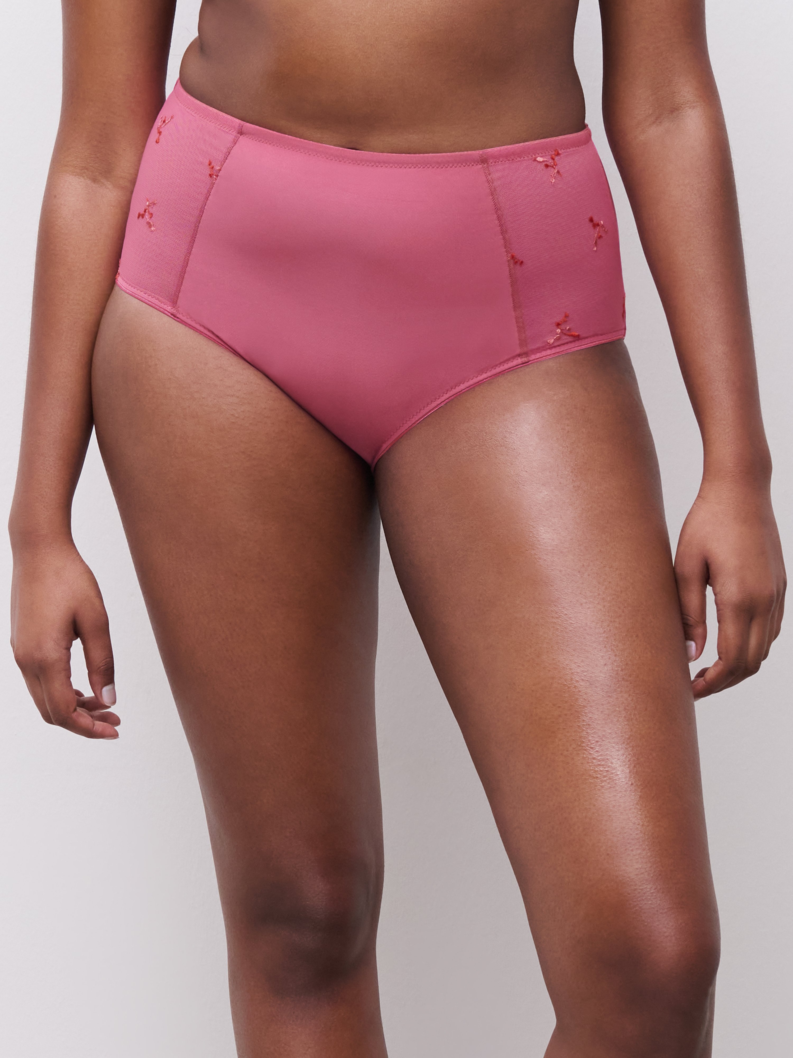 High-waisted support panties CHANTELLE Multicolored