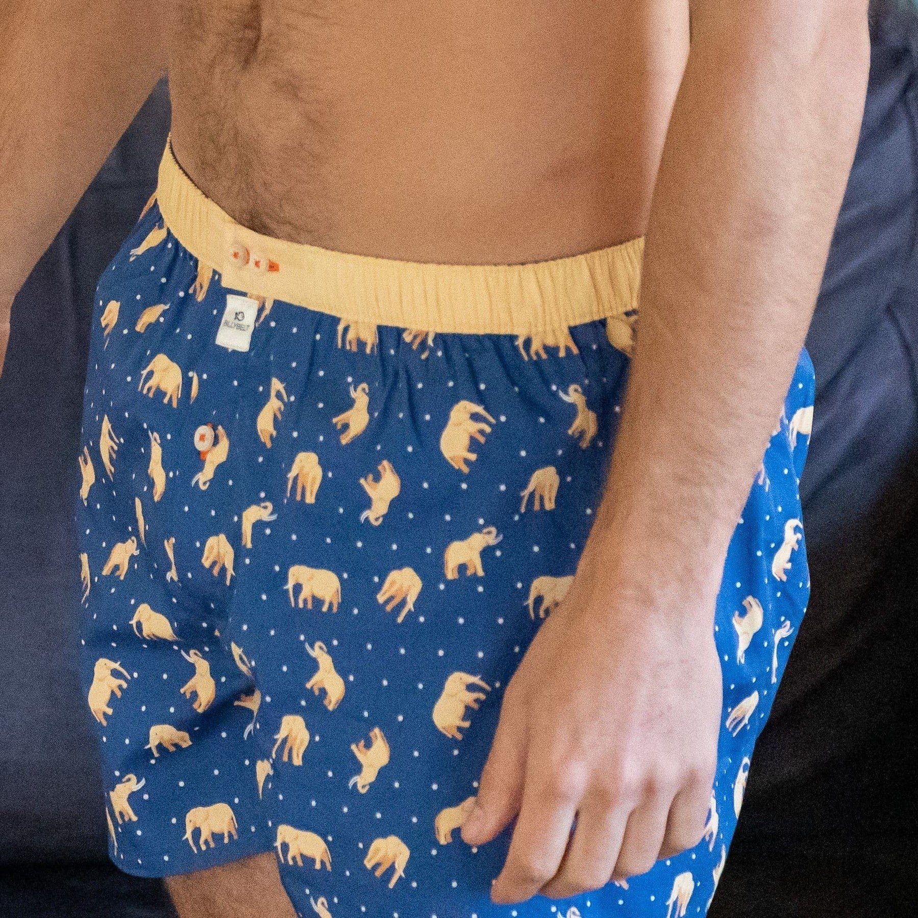 Organic cotton boxer shorts BILLYBELT Blue