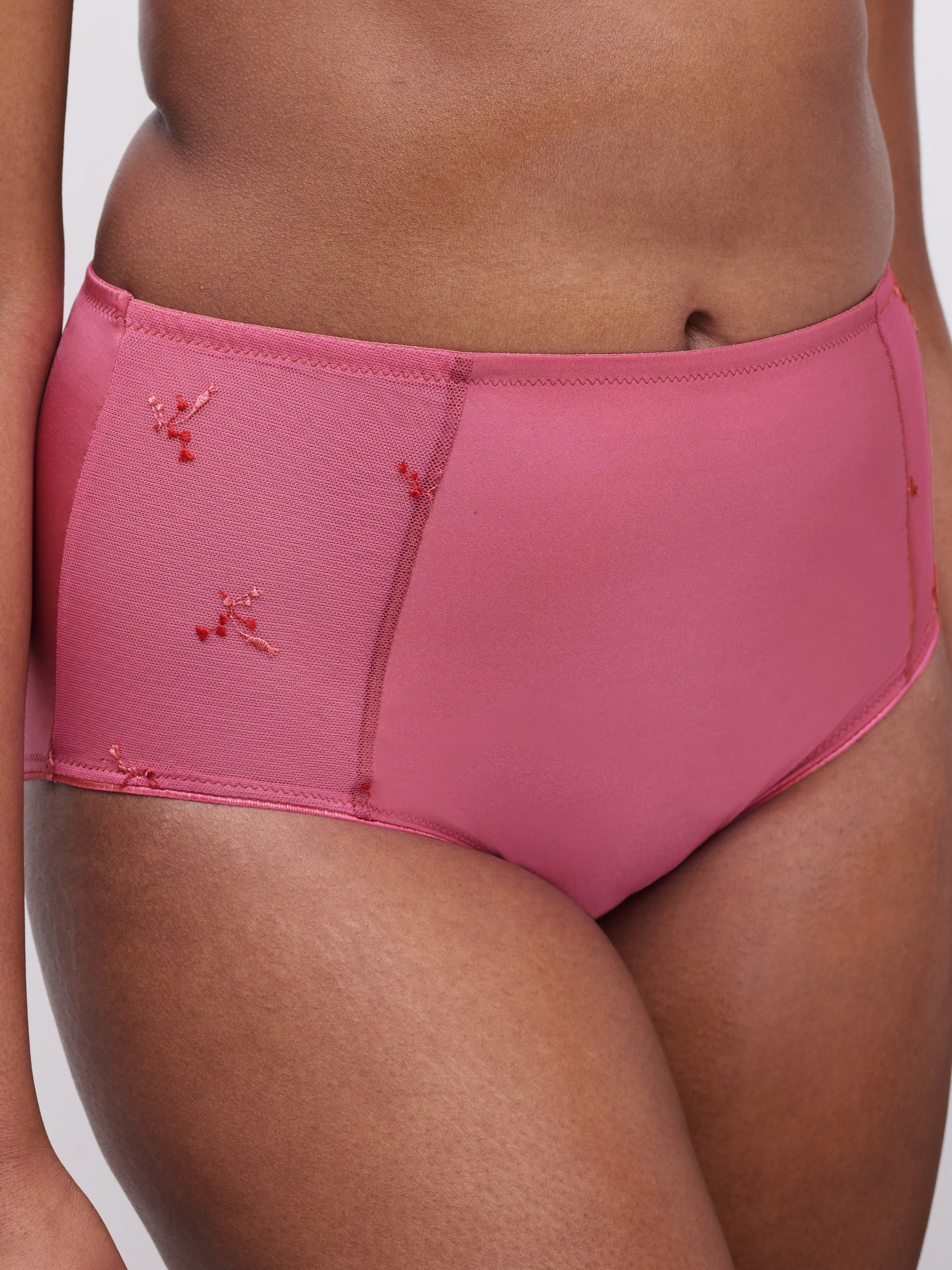 High-waisted support panties CHANTELLE Multicolored