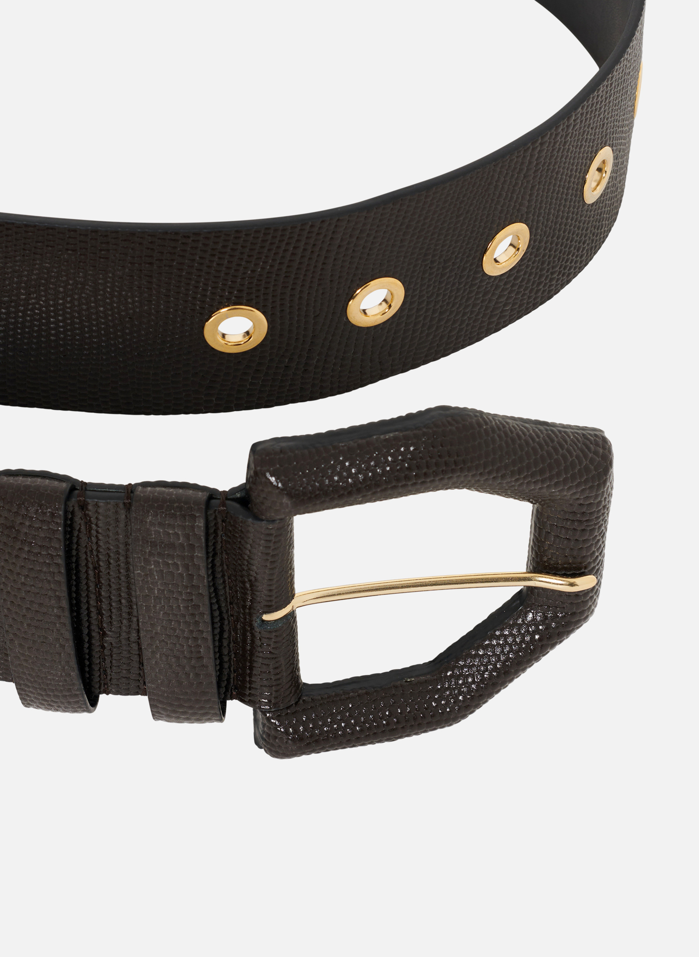 Bluestar wide leather belt THE KOOPLES Brown