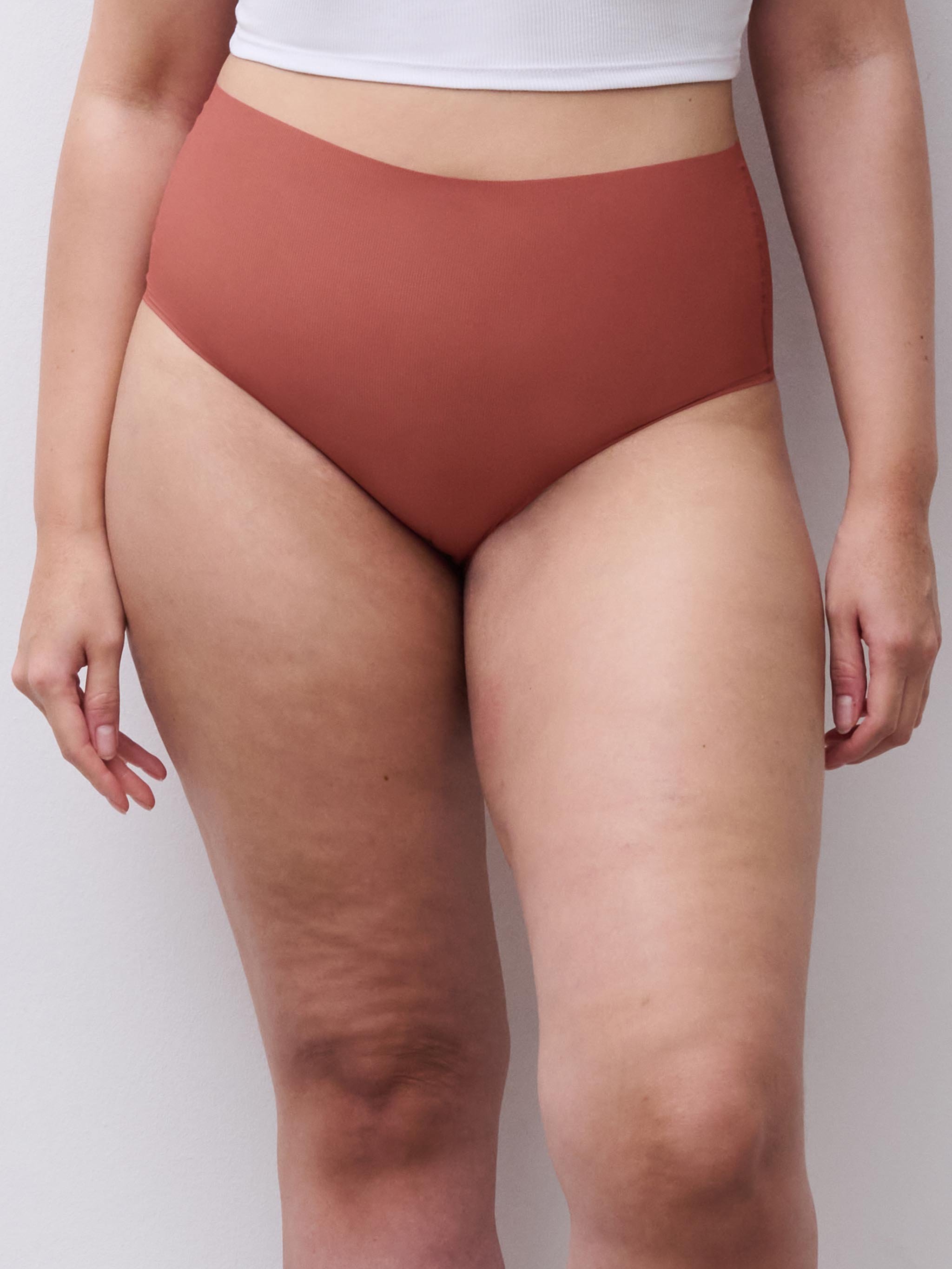 Briefs CHANTELLE PULP Brown