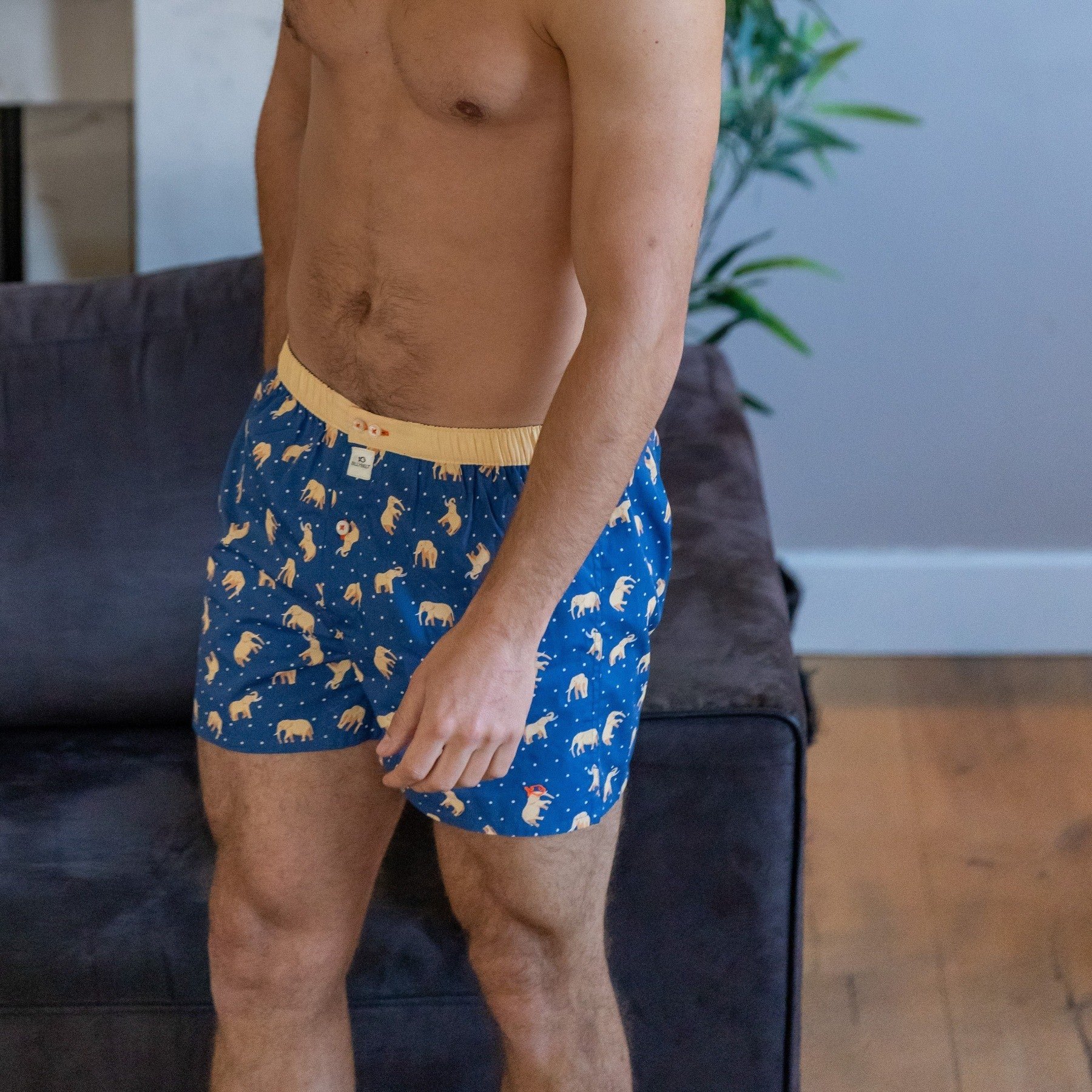 Organic cotton boxer shorts BILLYBELT Blue