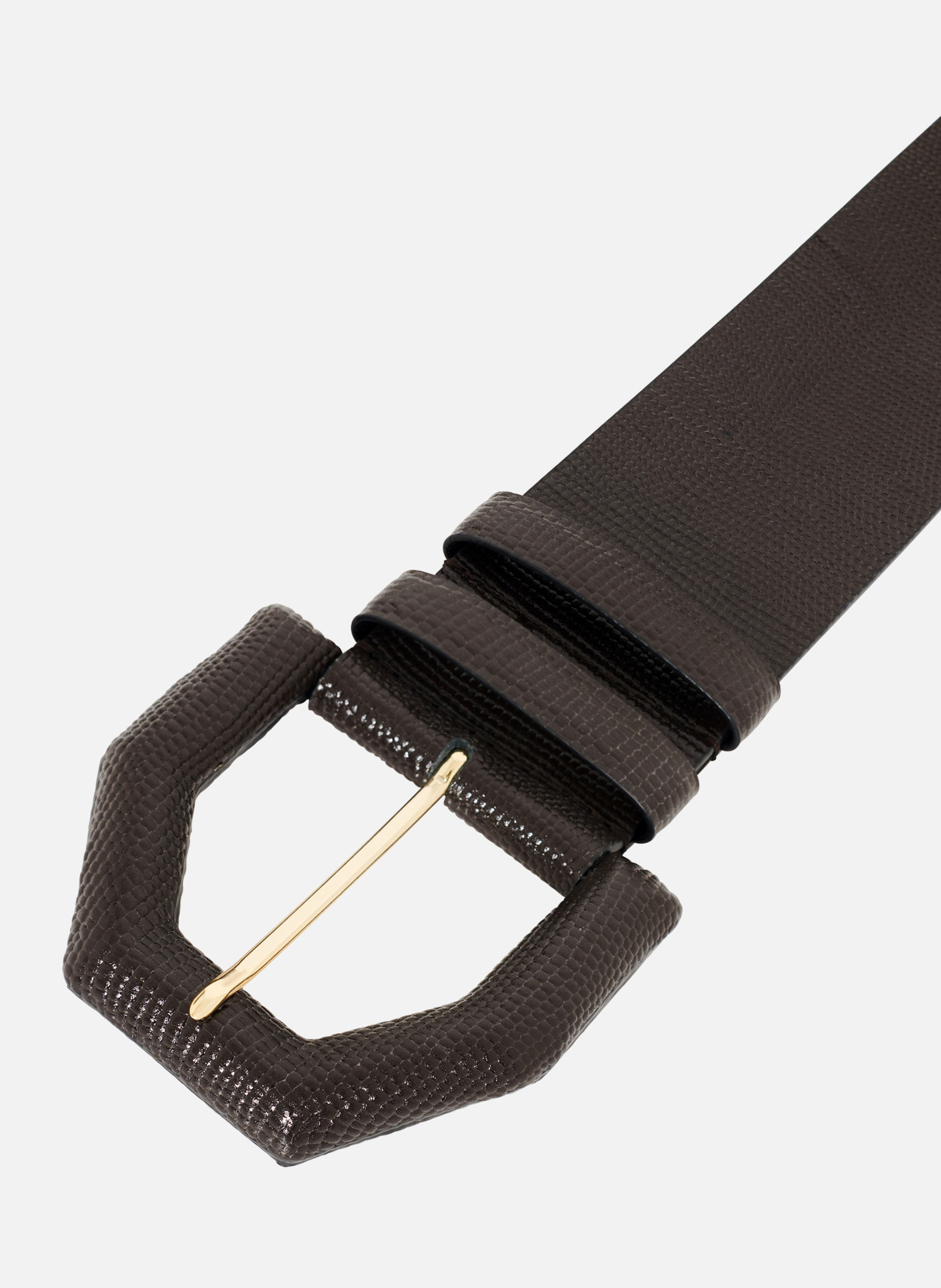 Bluestar wide leather belt THE KOOPLES Brown