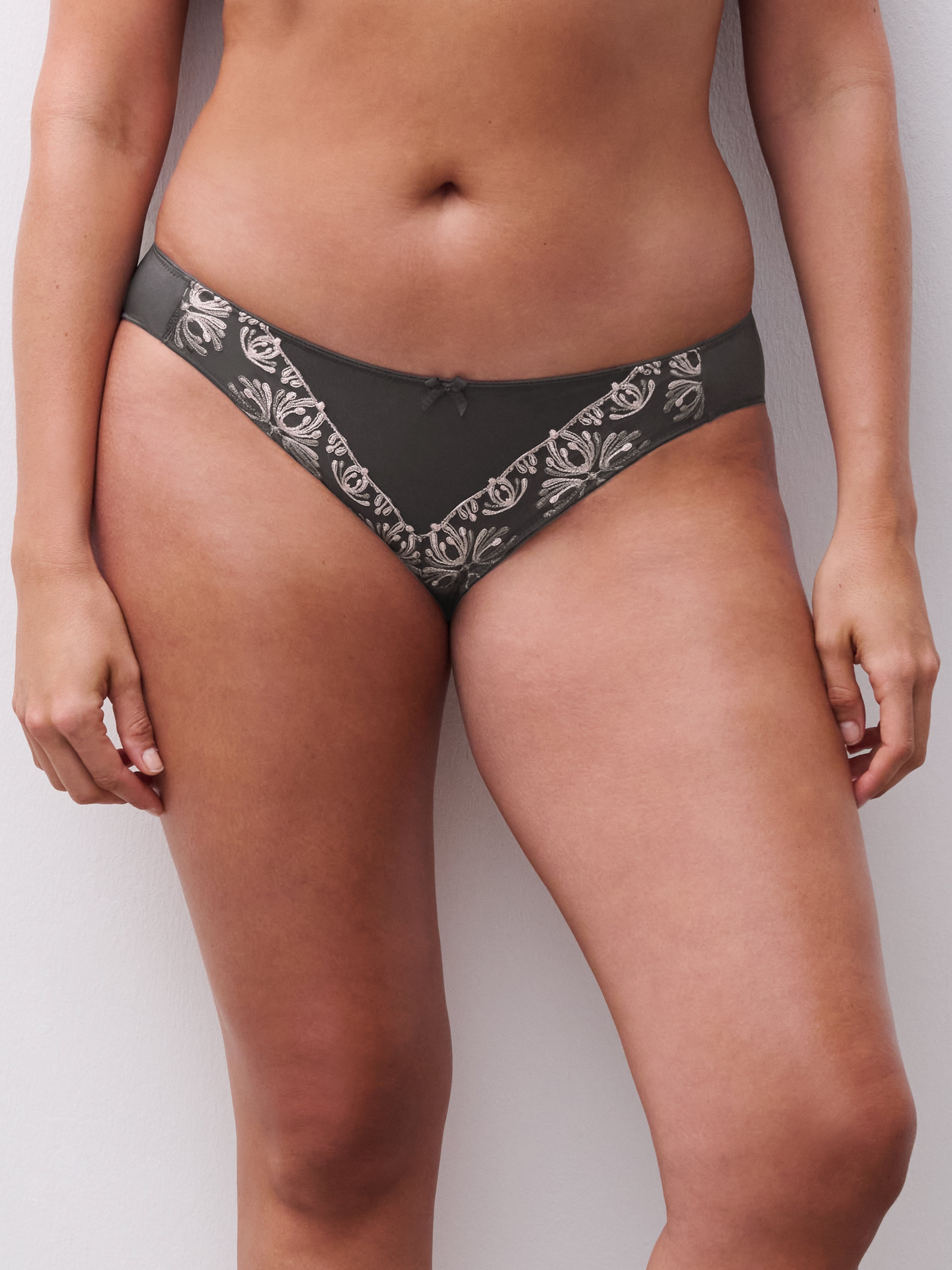 Evolving briefs CHANTELLE