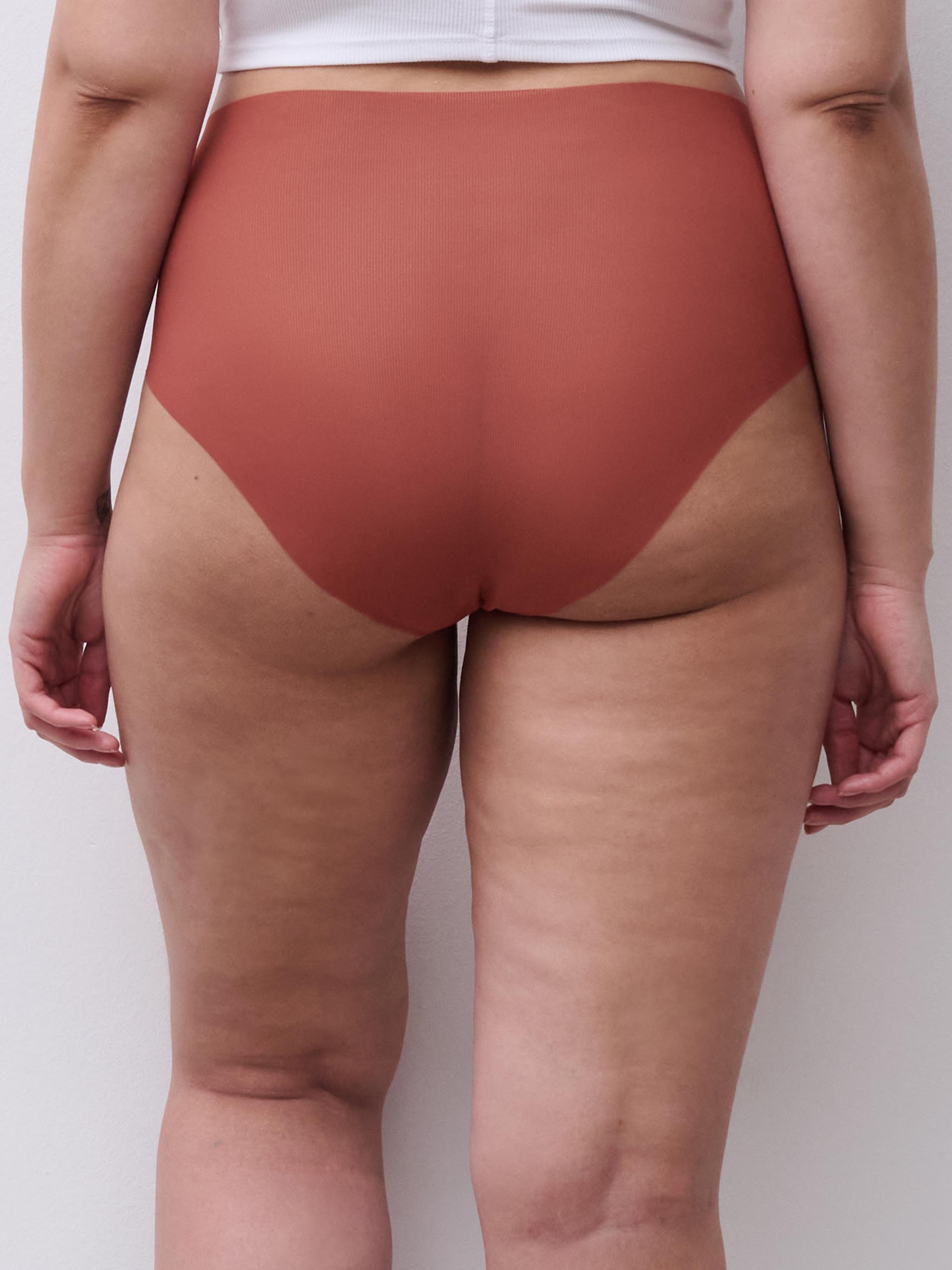 Briefs CHANTELLE PULP Brown