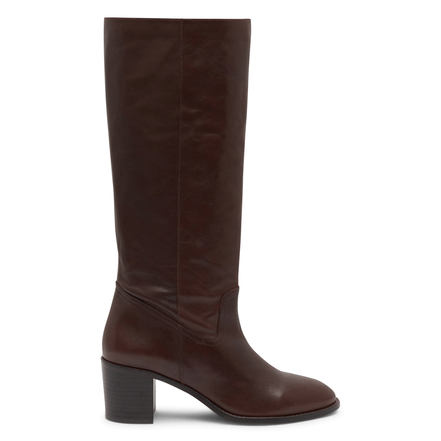Bottes en cuir  PABLO Bruin