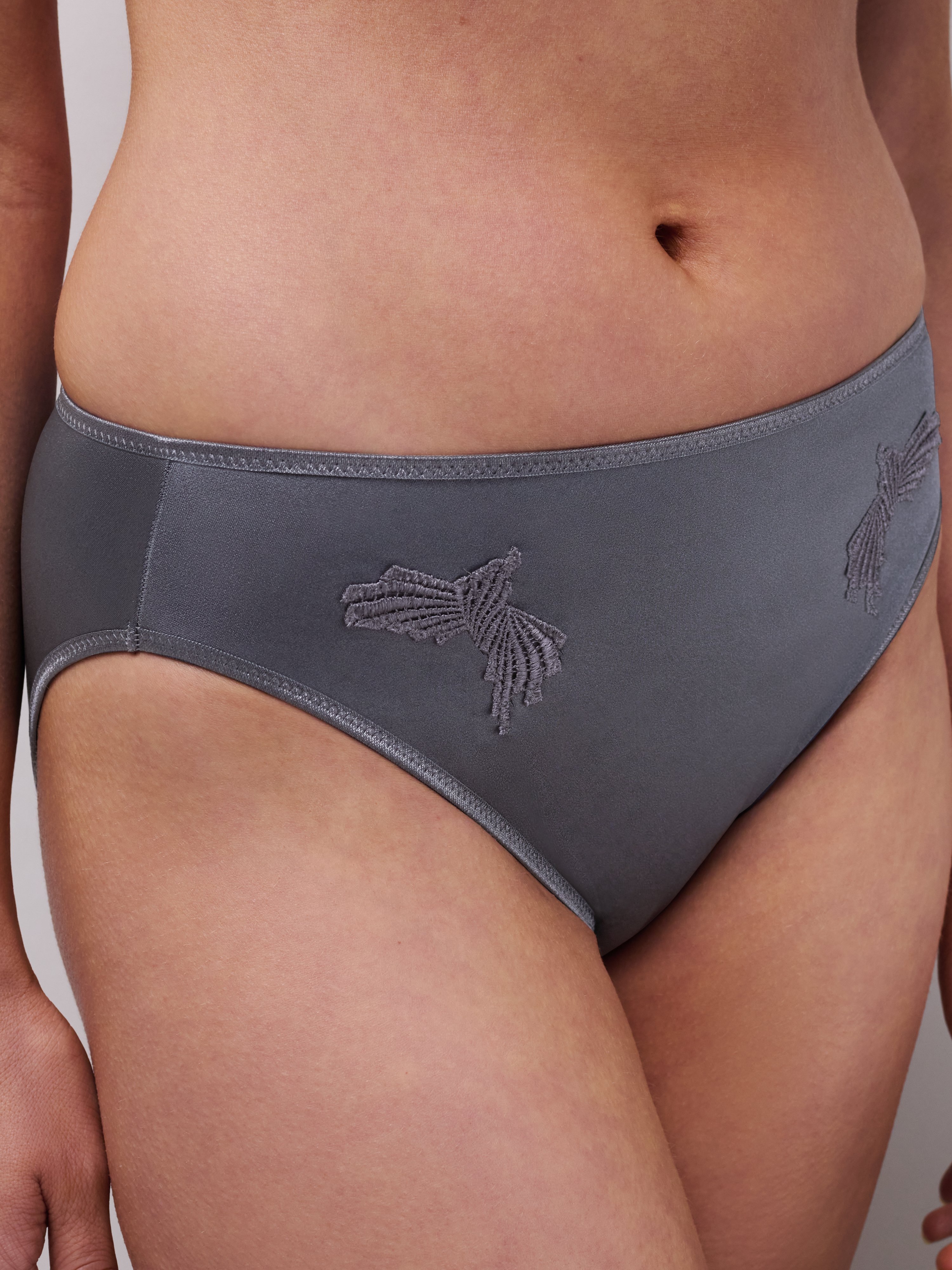 Briefs CHANTELLE Grey