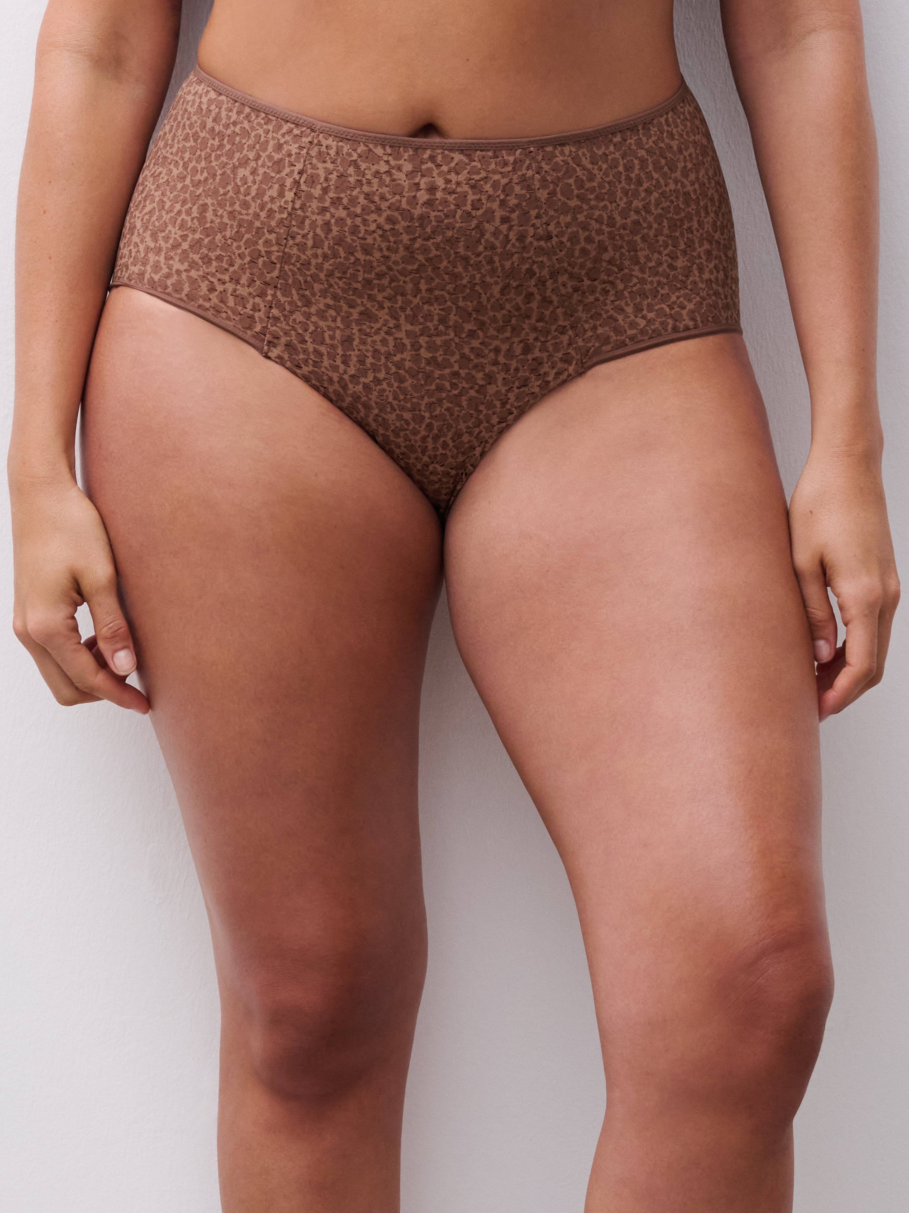 High-waisted lace panties CHANTELLE