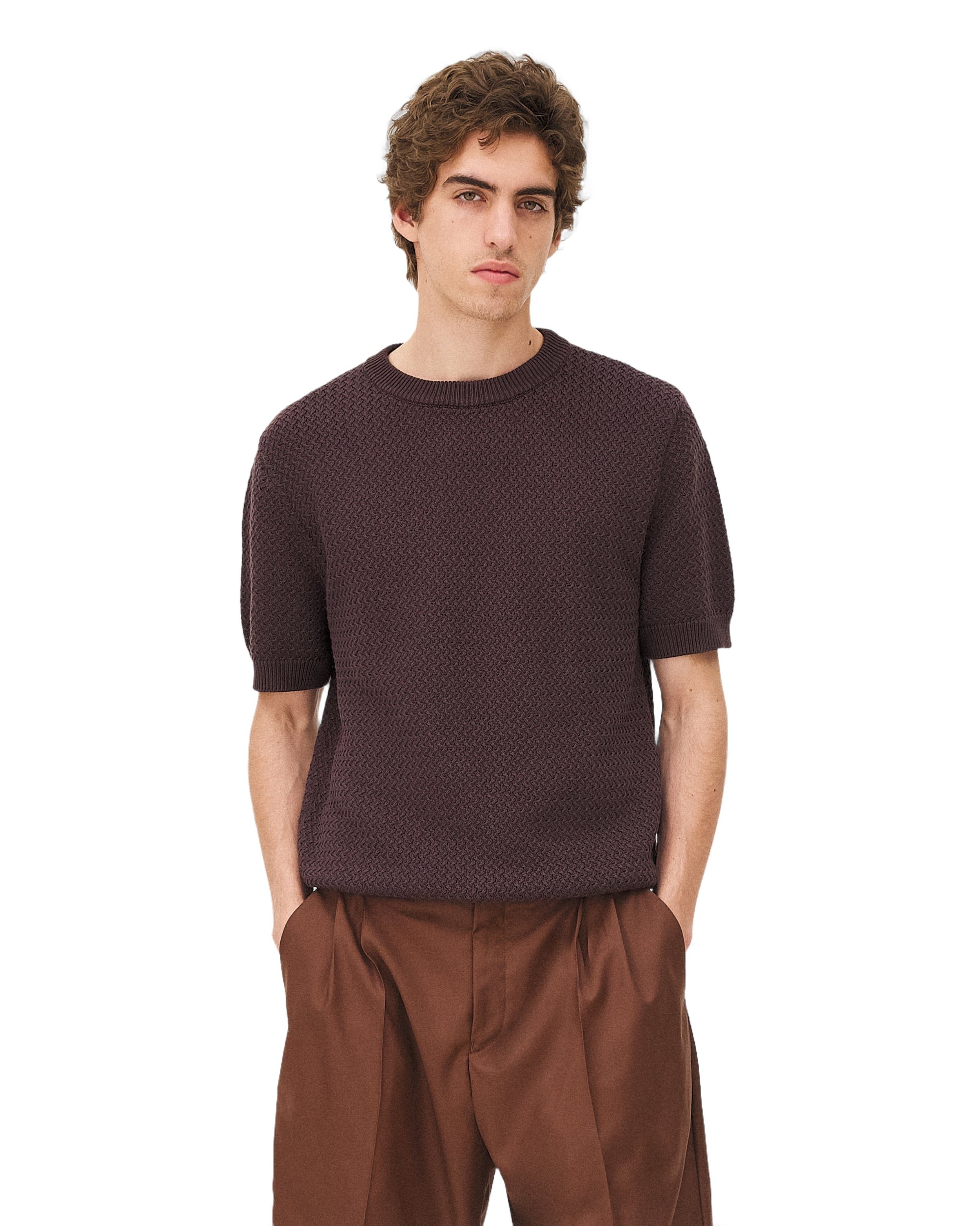 Short-sleeve knit MADERA BROWN Noyoco Brown