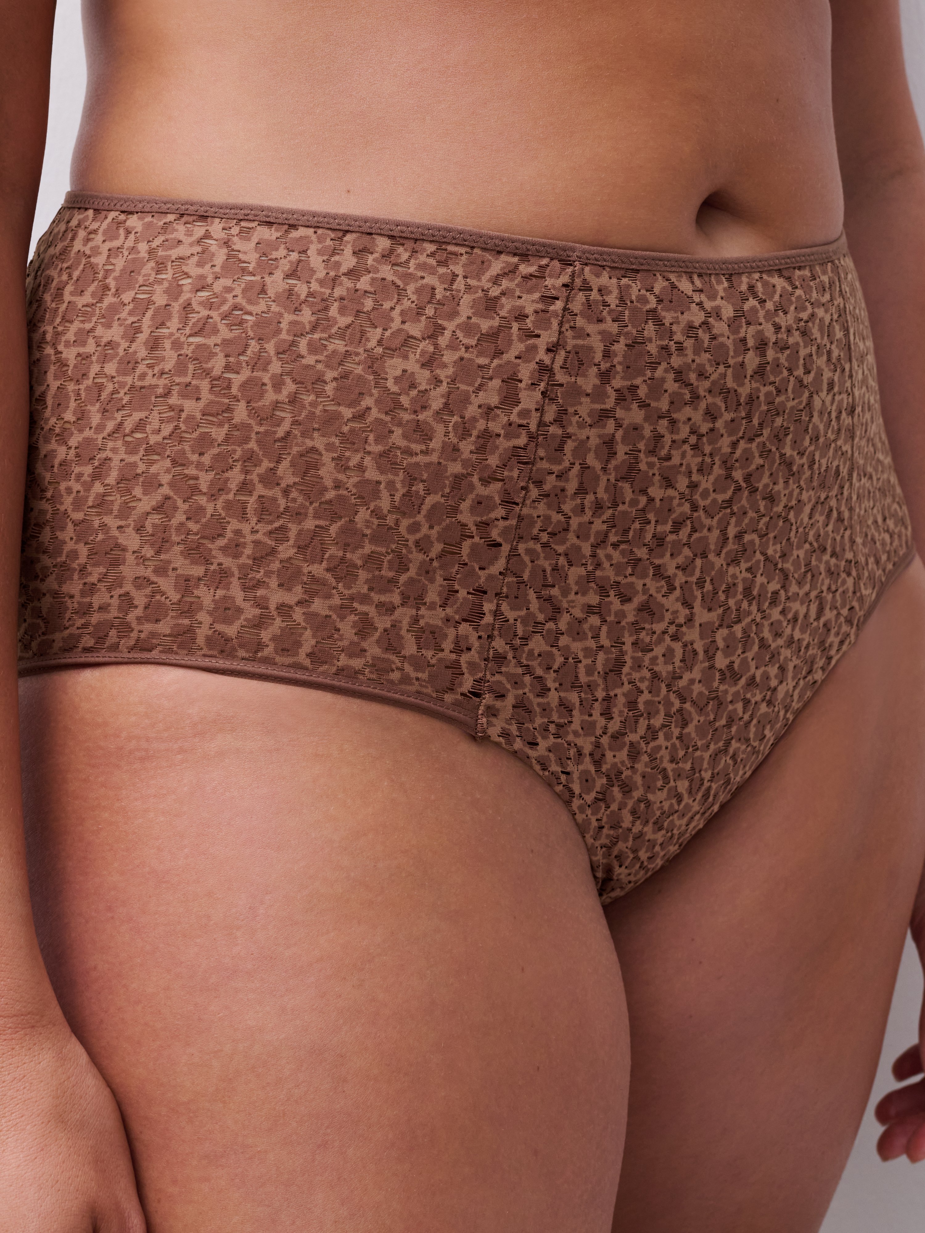 High-waisted lace panties CHANTELLE Brown
