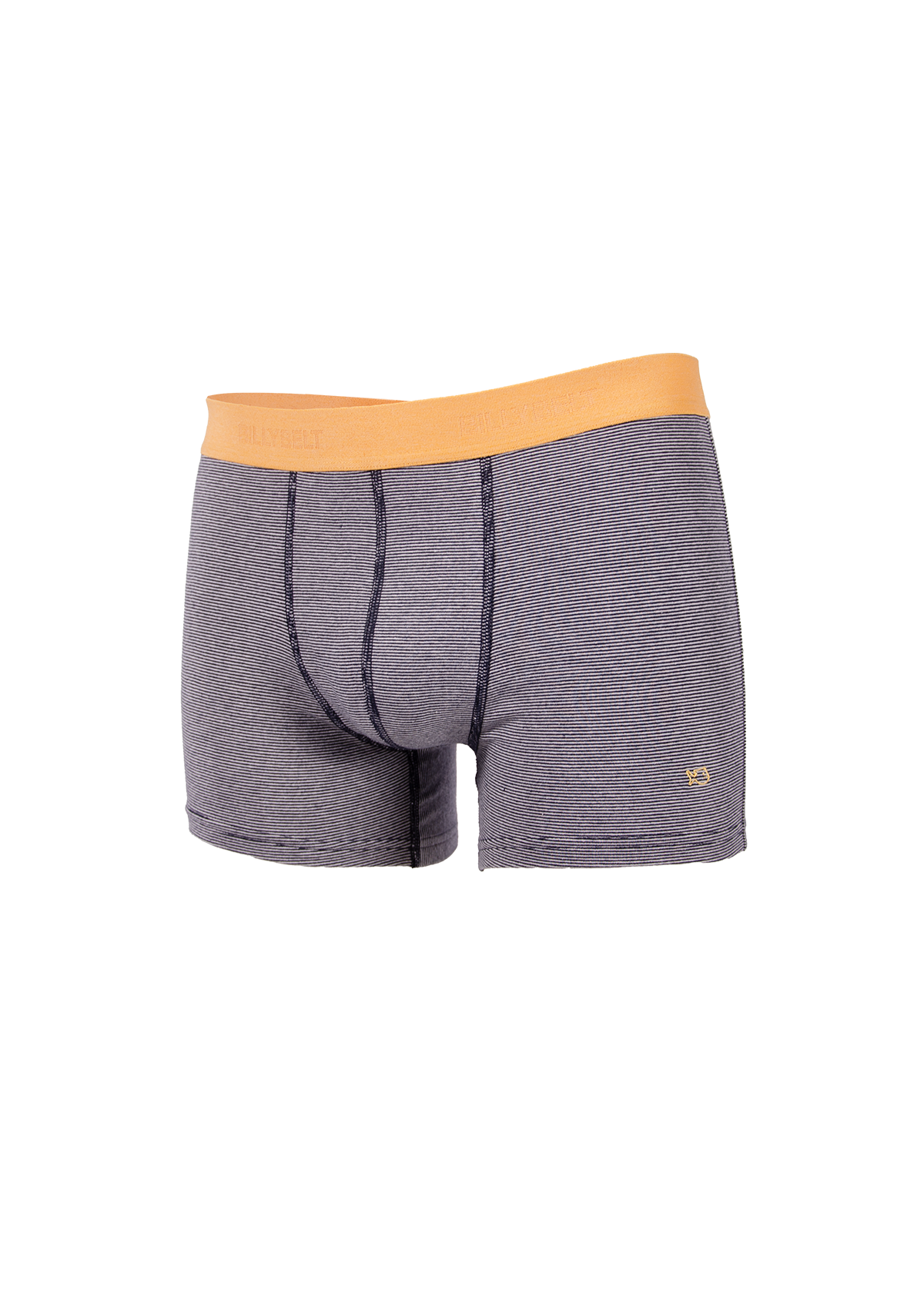 Organic cotton boxers BILLYBELT Blue