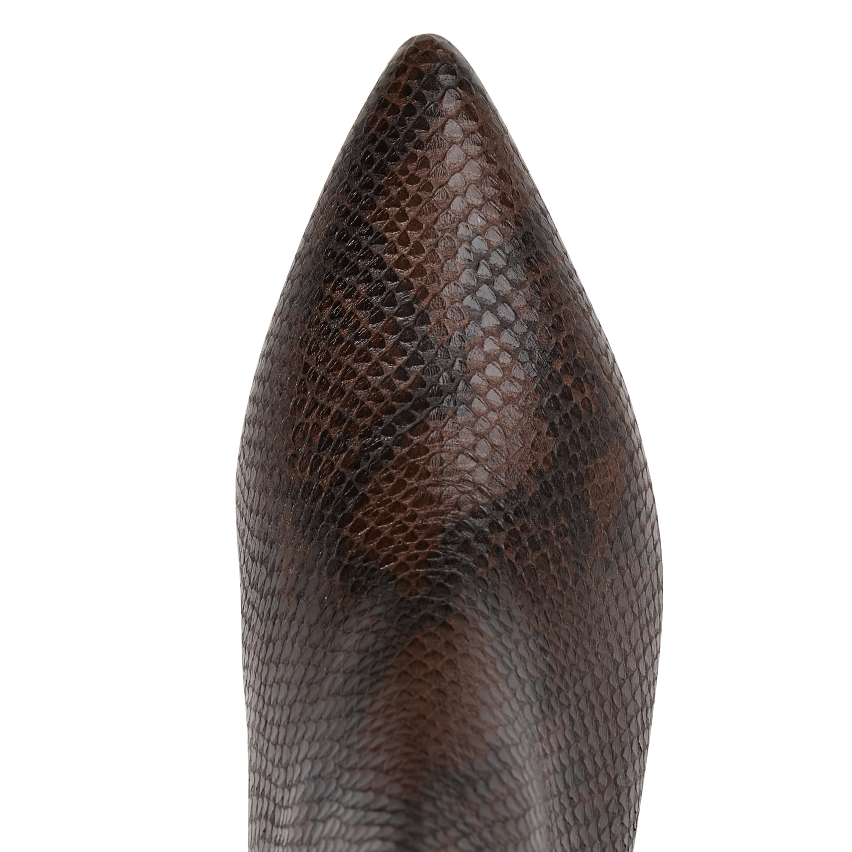 Bottines en cuir imprimé BOBBIES Marron