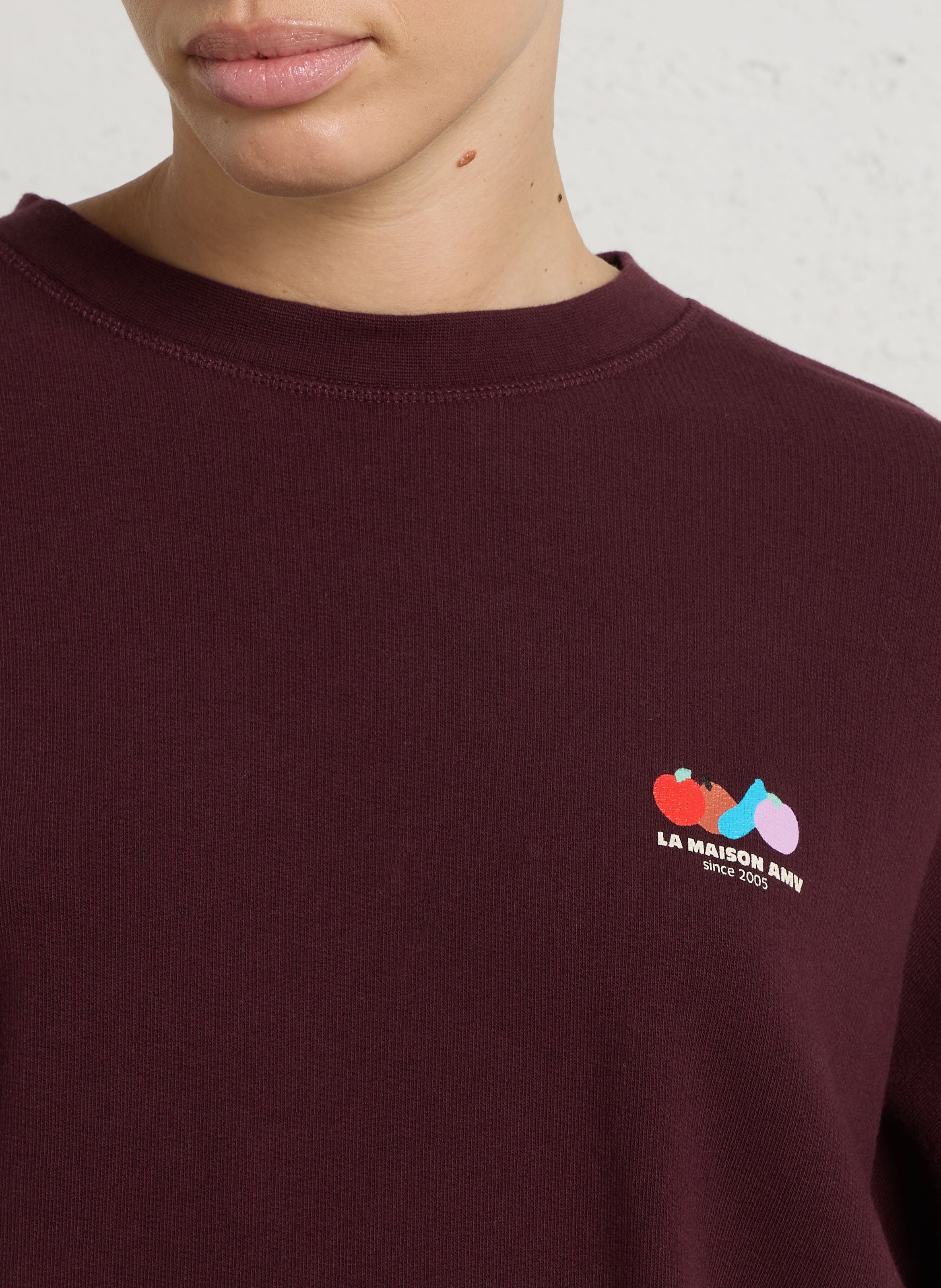 Oversized cotton-blend sweatshirt with round neck AMERICAN VINTAGE Red