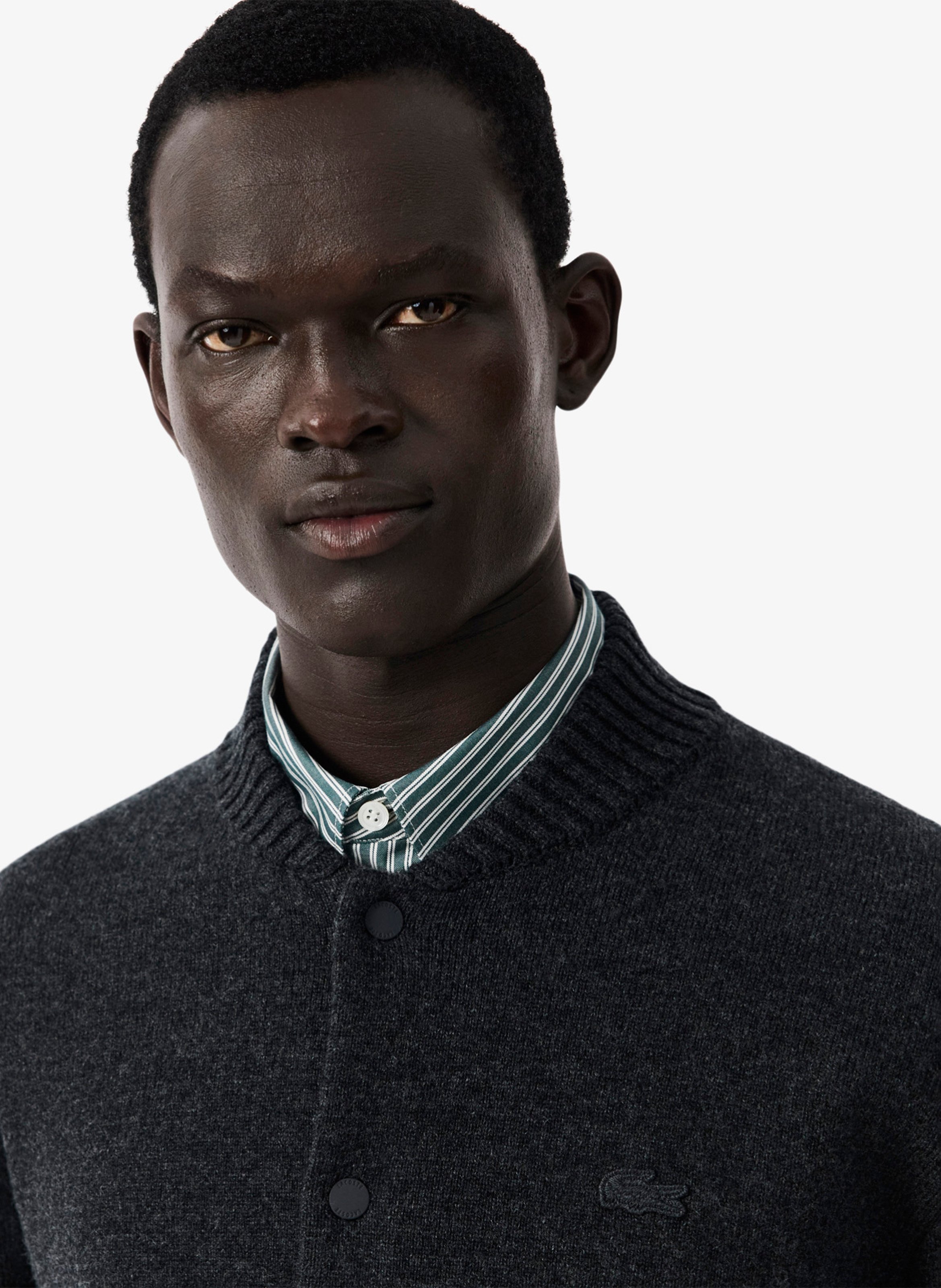 Gerade geschnittene Wollmix-Strickjacke mit Rundhalskragen LACOSTE Braun