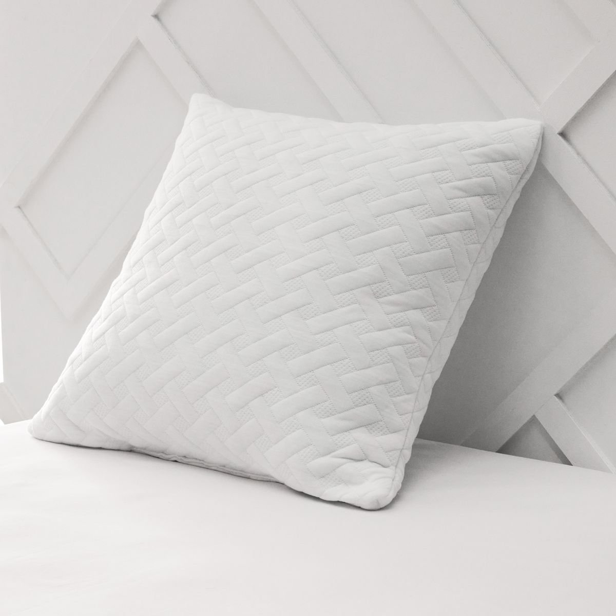 Set of 2 pillows TODAY LINGE DE MAISON White