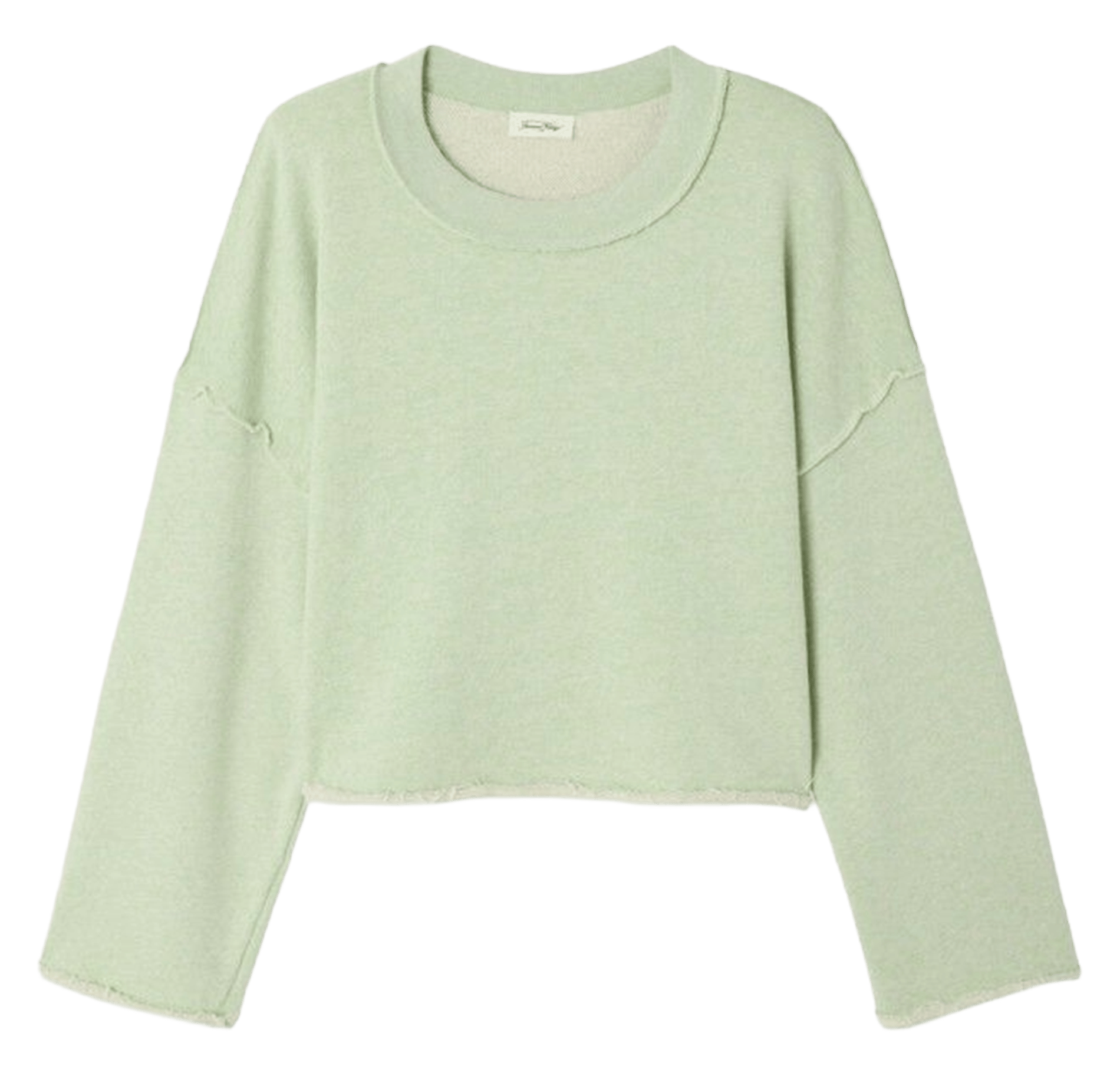 Oversized cotton sweatshirt with round neck AMERICAN VINTAGE Green